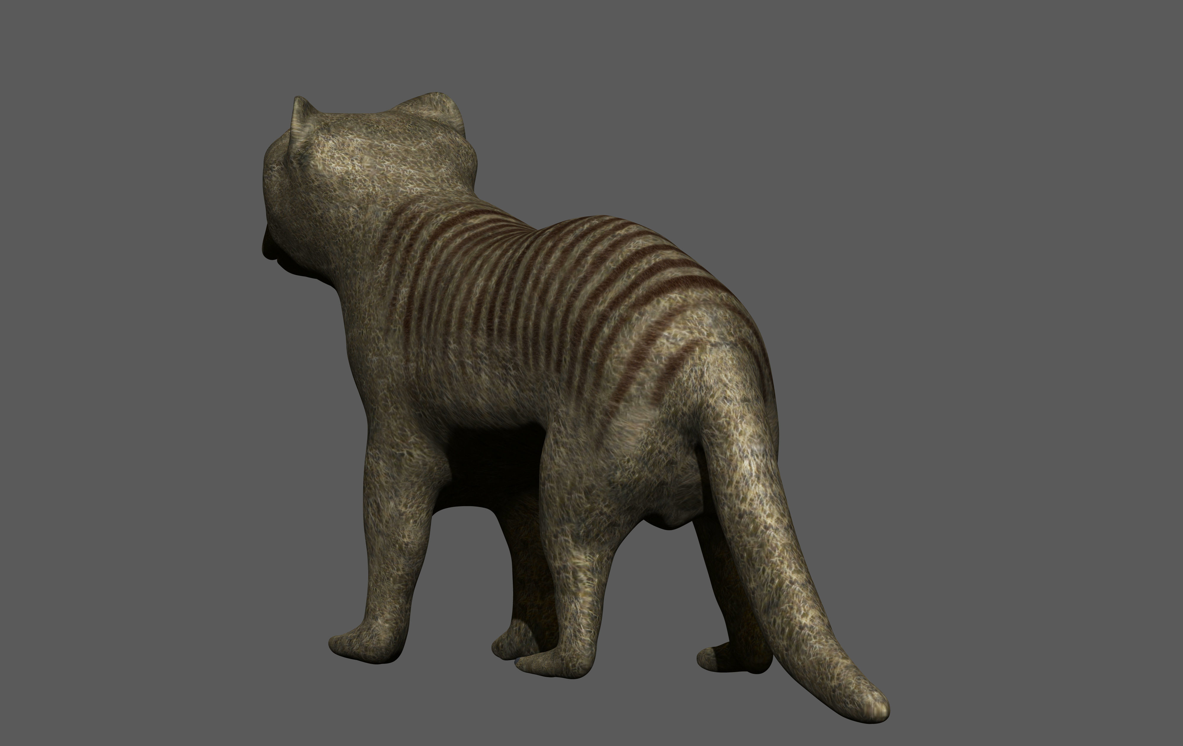 Mongoose kangaroo Low-poly 3D model_1