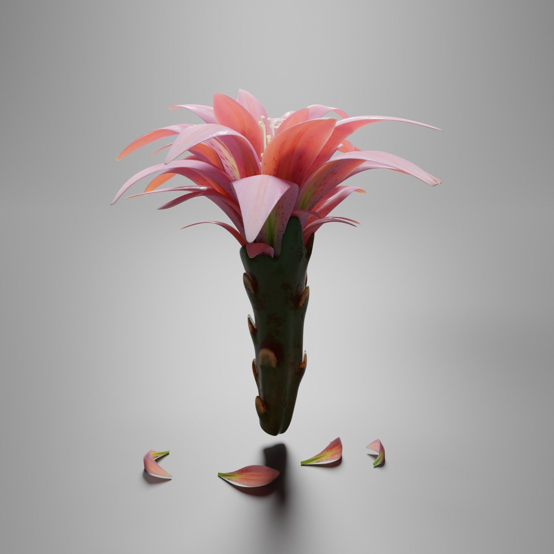 Water lily flower bud 3D model_3