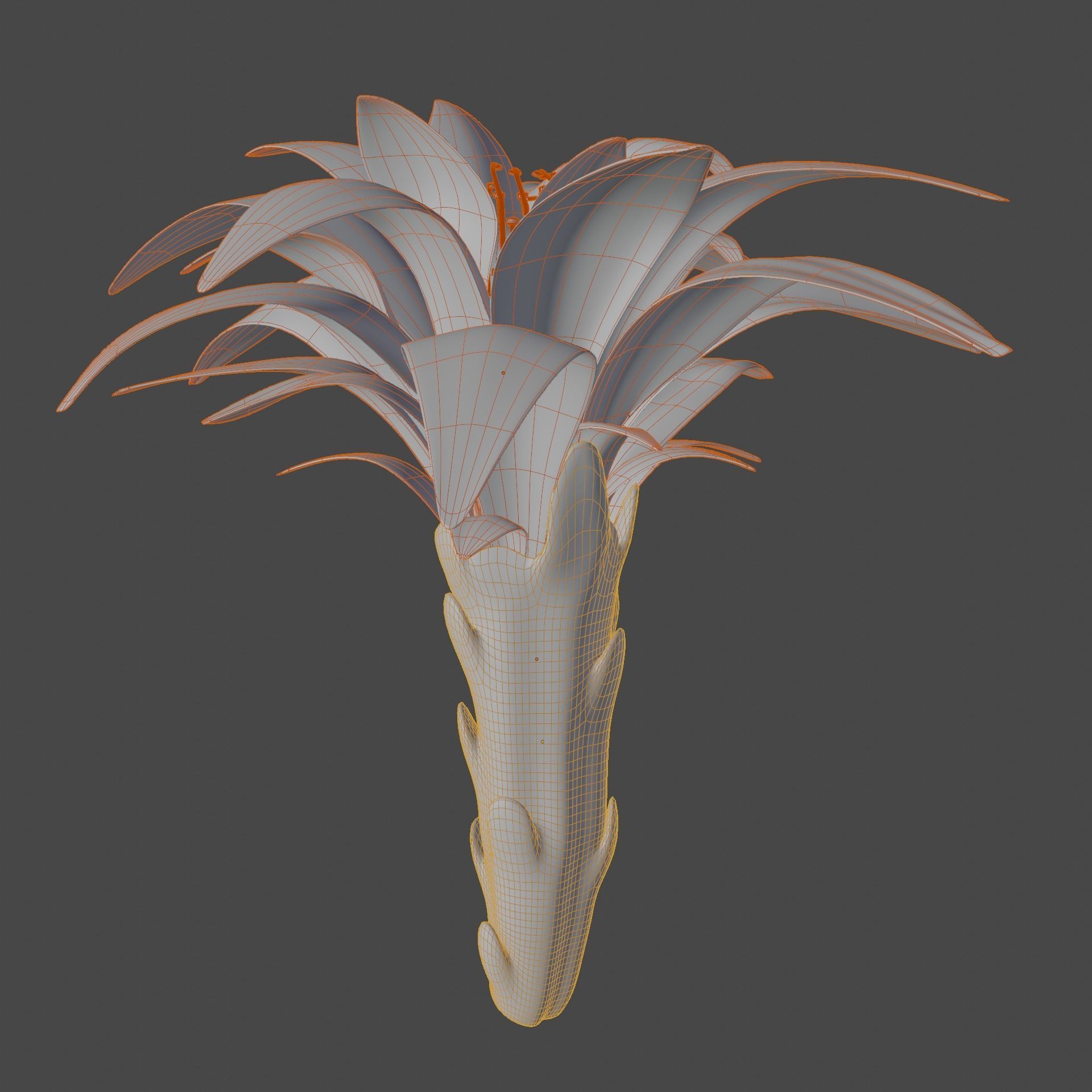 Water lily flower bud 3D model_4