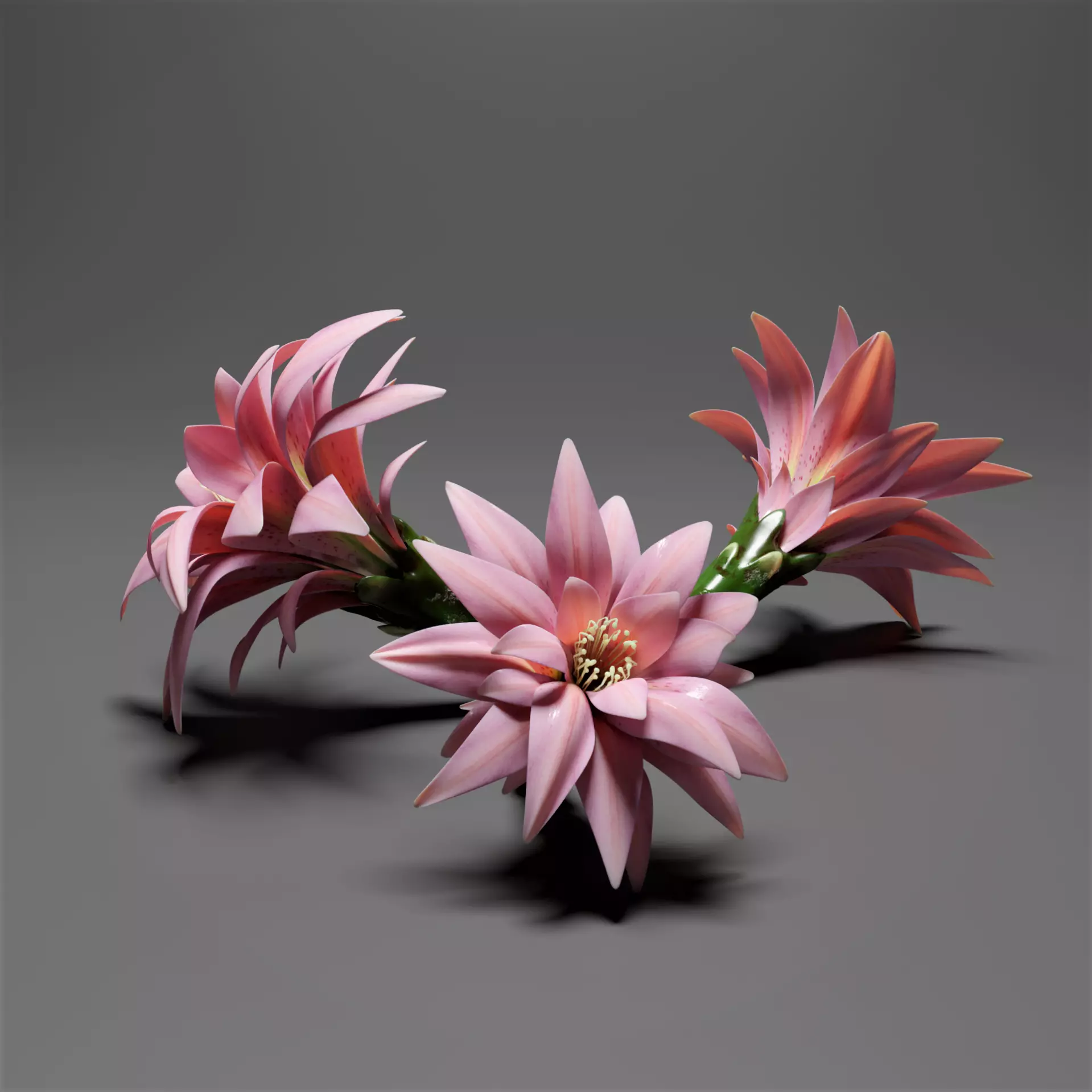 Water lily flower bud 3D model_0