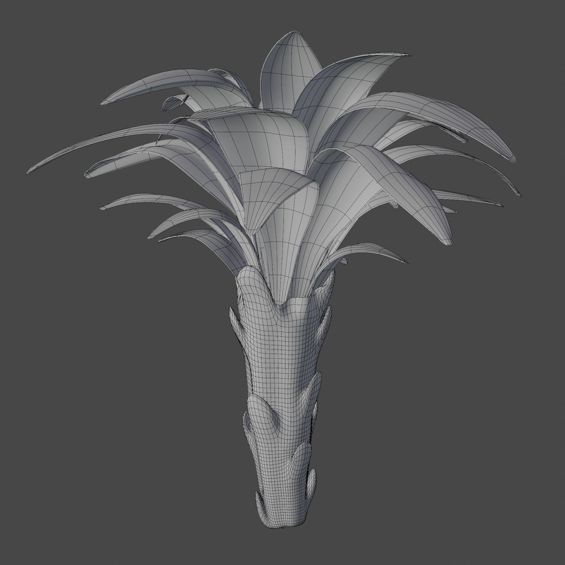 Water lily flower bud 3D model_5