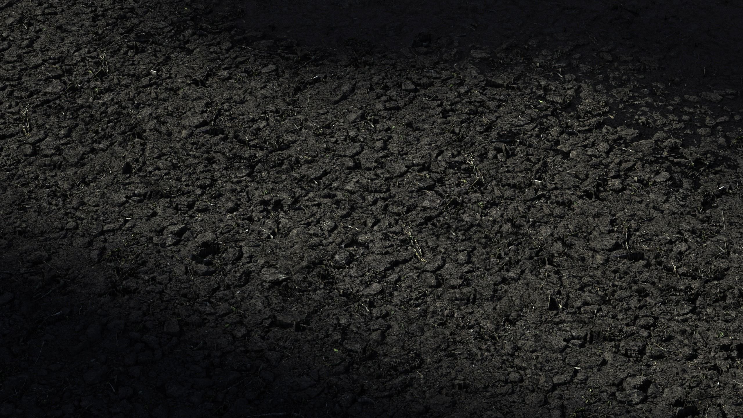 35 - 8K Material pack - 16 and 32 bit - Crazy sharpness 3D model_78