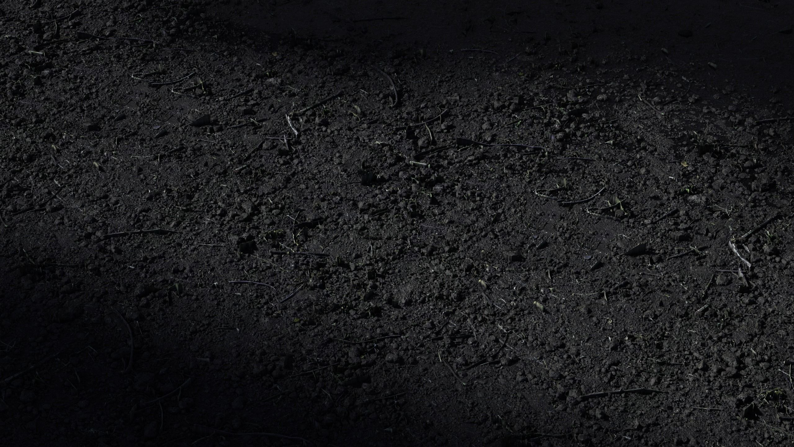 35 - 8K Material pack - 16 and 32 bit - Crazy sharpness 3D model_84