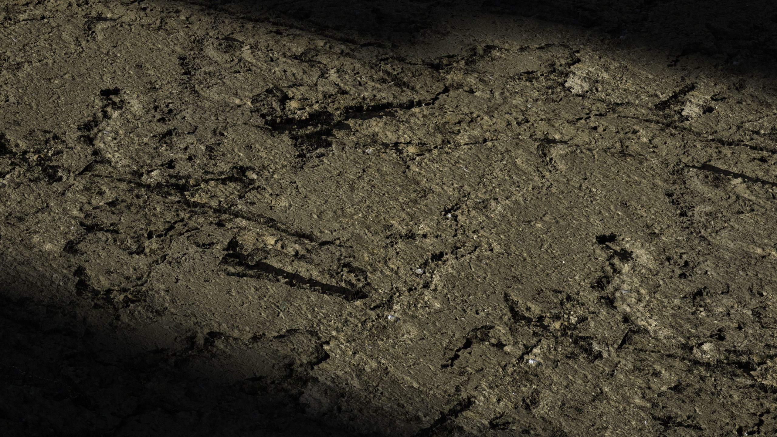 35 - 8K Material pack - 16 and 32 bit - Crazy sharpness 3D model_92