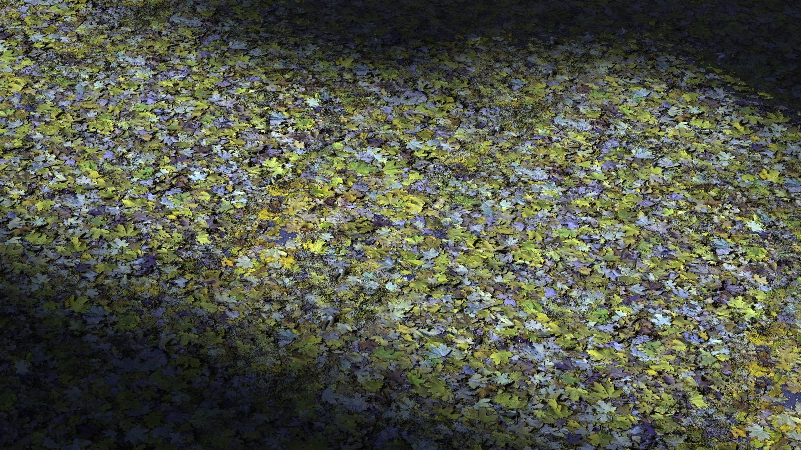 35 - 8K Material pack - 16 and 32 bit - Crazy sharpness 3D model_58