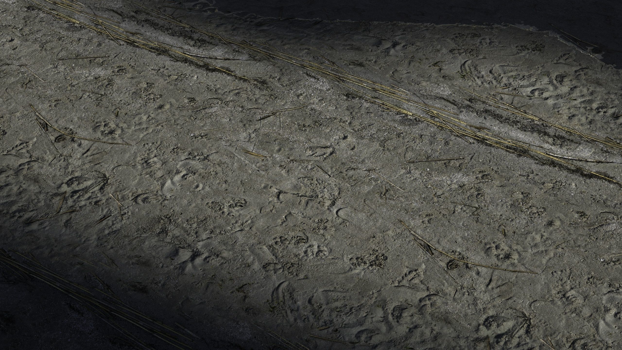 35 - 8K Material pack - 16 and 32 bit - Crazy sharpness 3D model_36