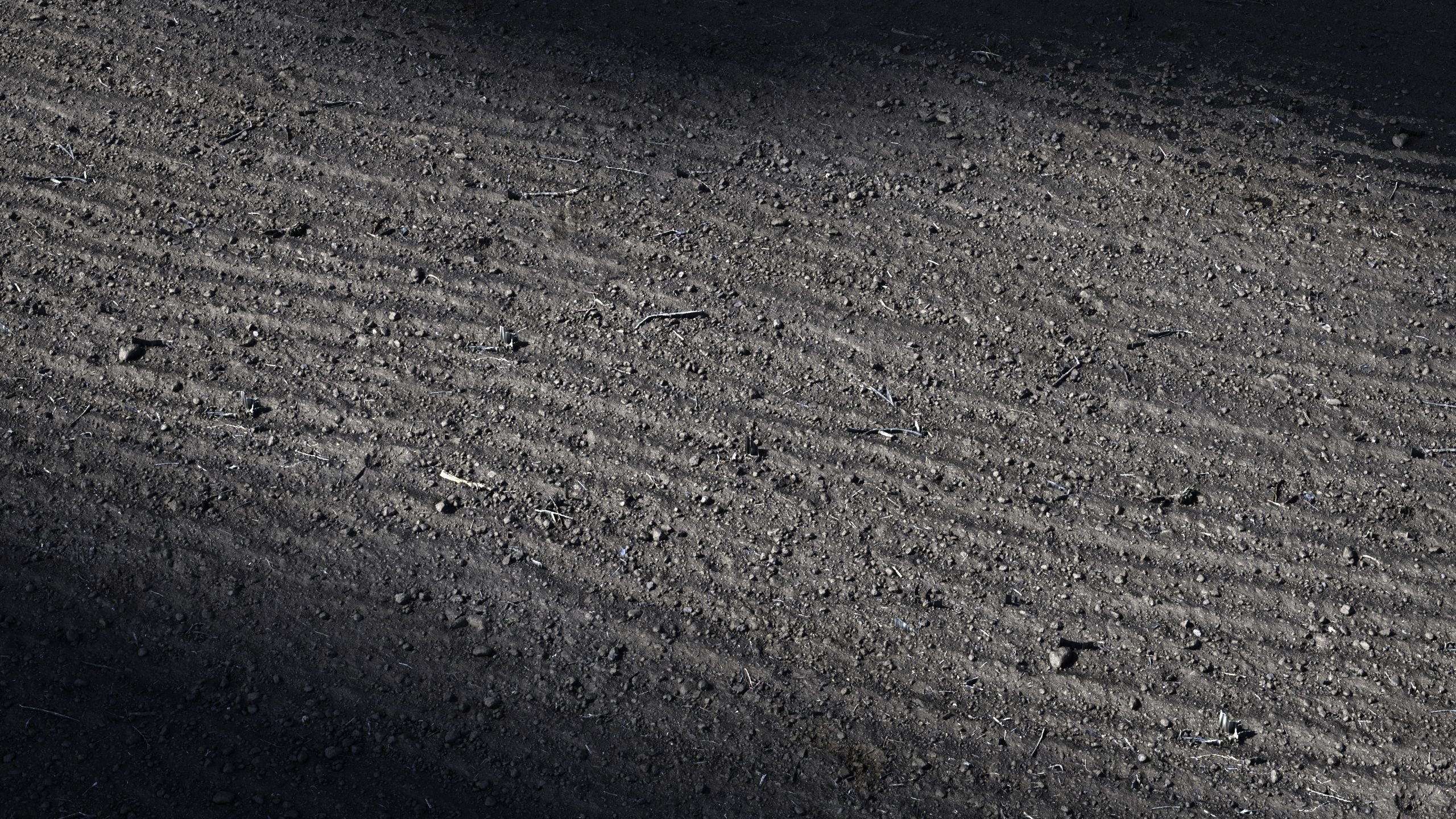 35 - 8K Material pack - 16 and 32 bit - Crazy sharpness 3D model_57