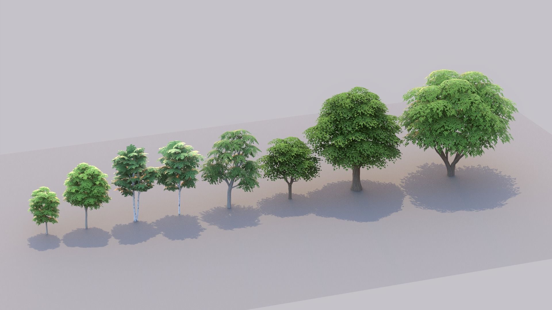 Tree Pack Low Poly G86 Low-poly 3D model_15