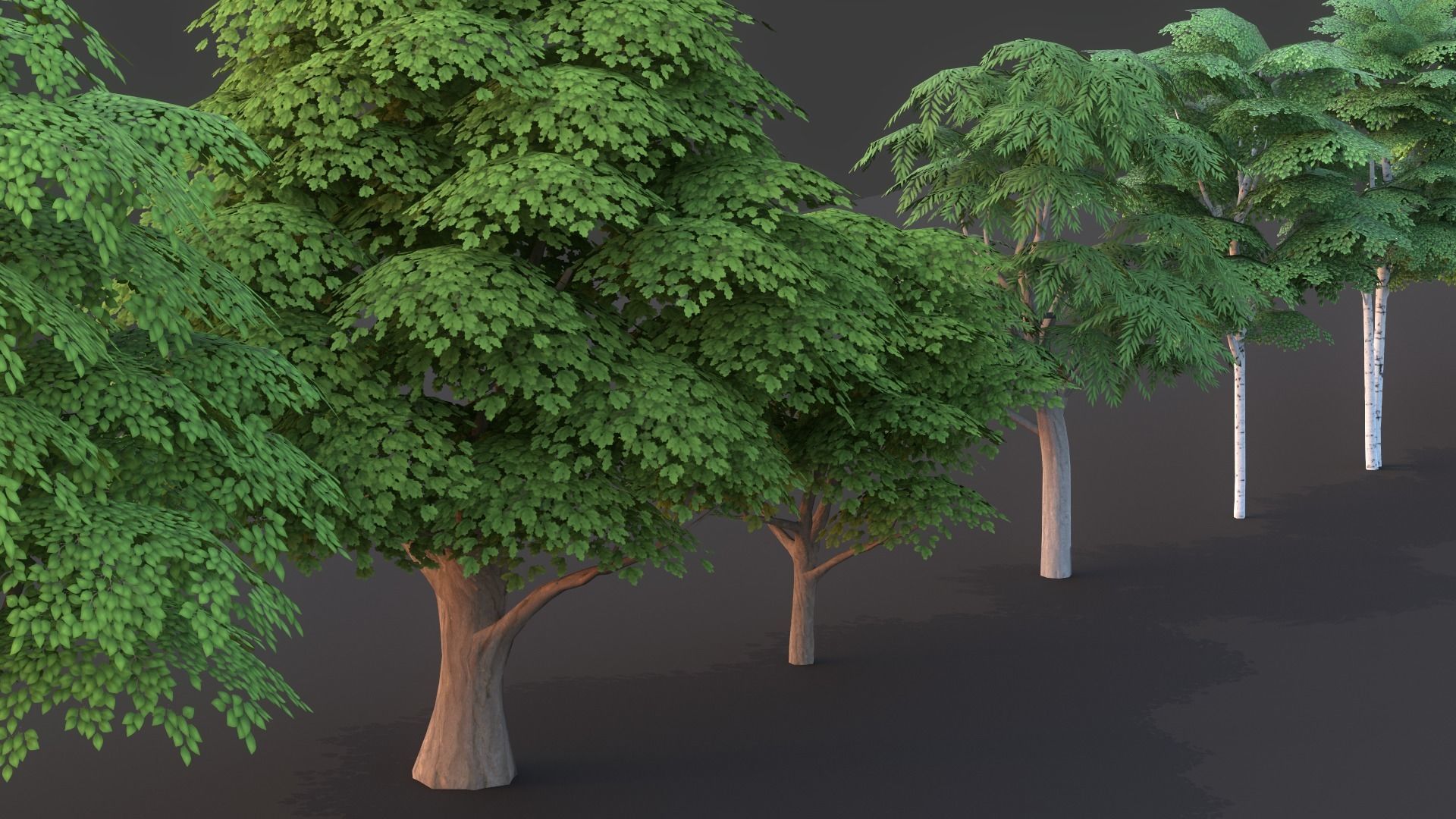 Tree Pack Low Poly G86 Low-poly 3D model_9