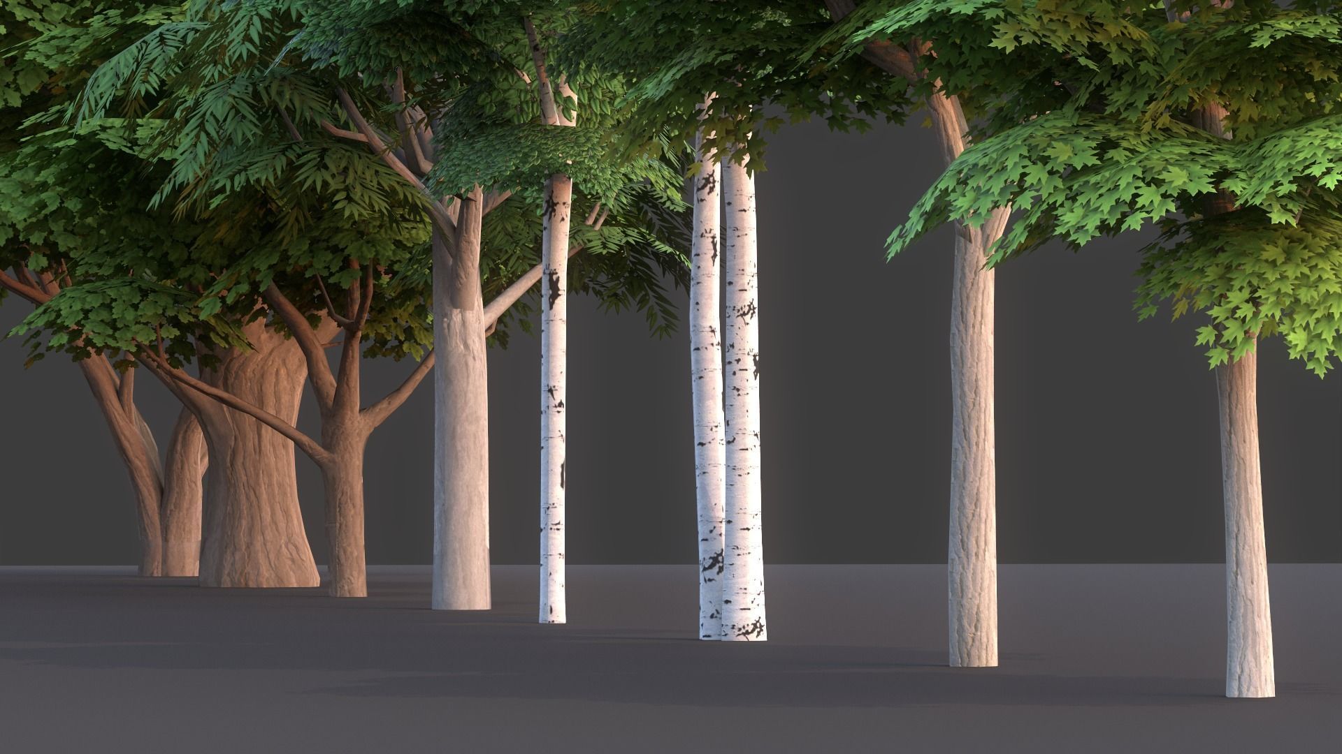 Tree Pack Low Poly G86 Low-poly 3D model_10