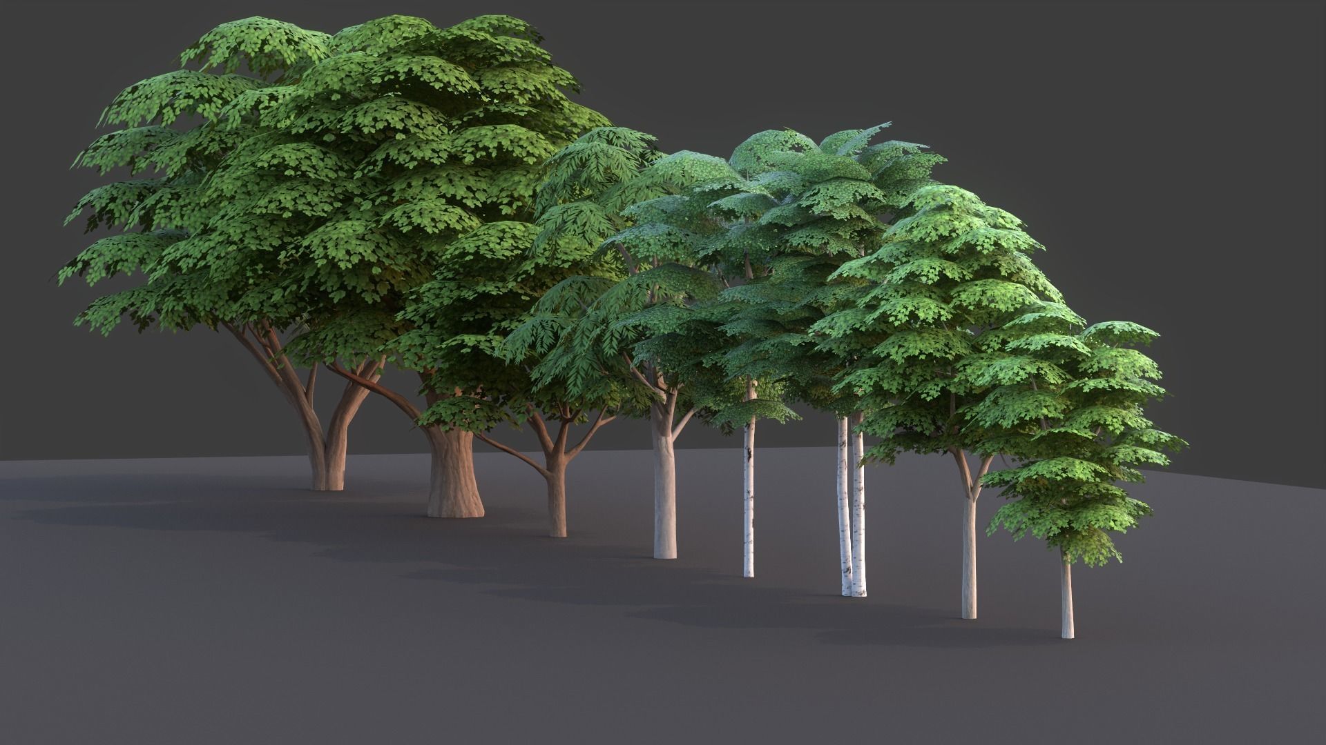 Tree Pack Low Poly G86 Low-poly 3D model_13