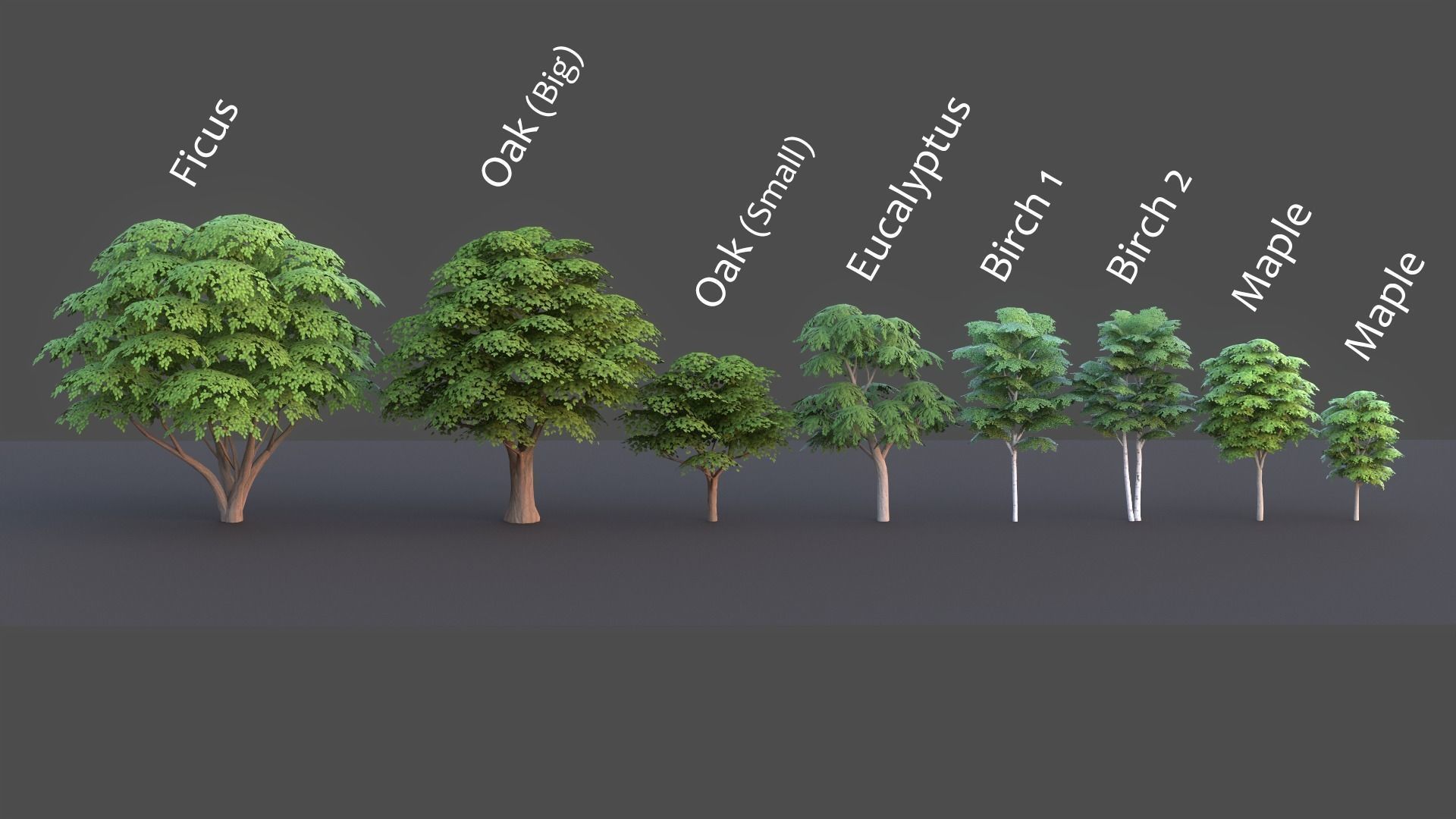 Tree Pack Low Poly G86 Low-poly 3D model_2