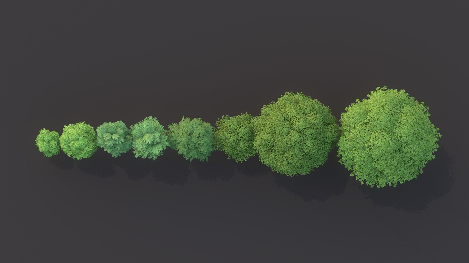 Tree Pack Low Poly G86 Low-poly 3D model_8