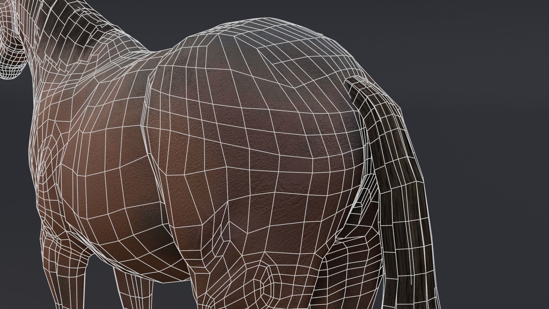 Horse Low-poly 3D model_9