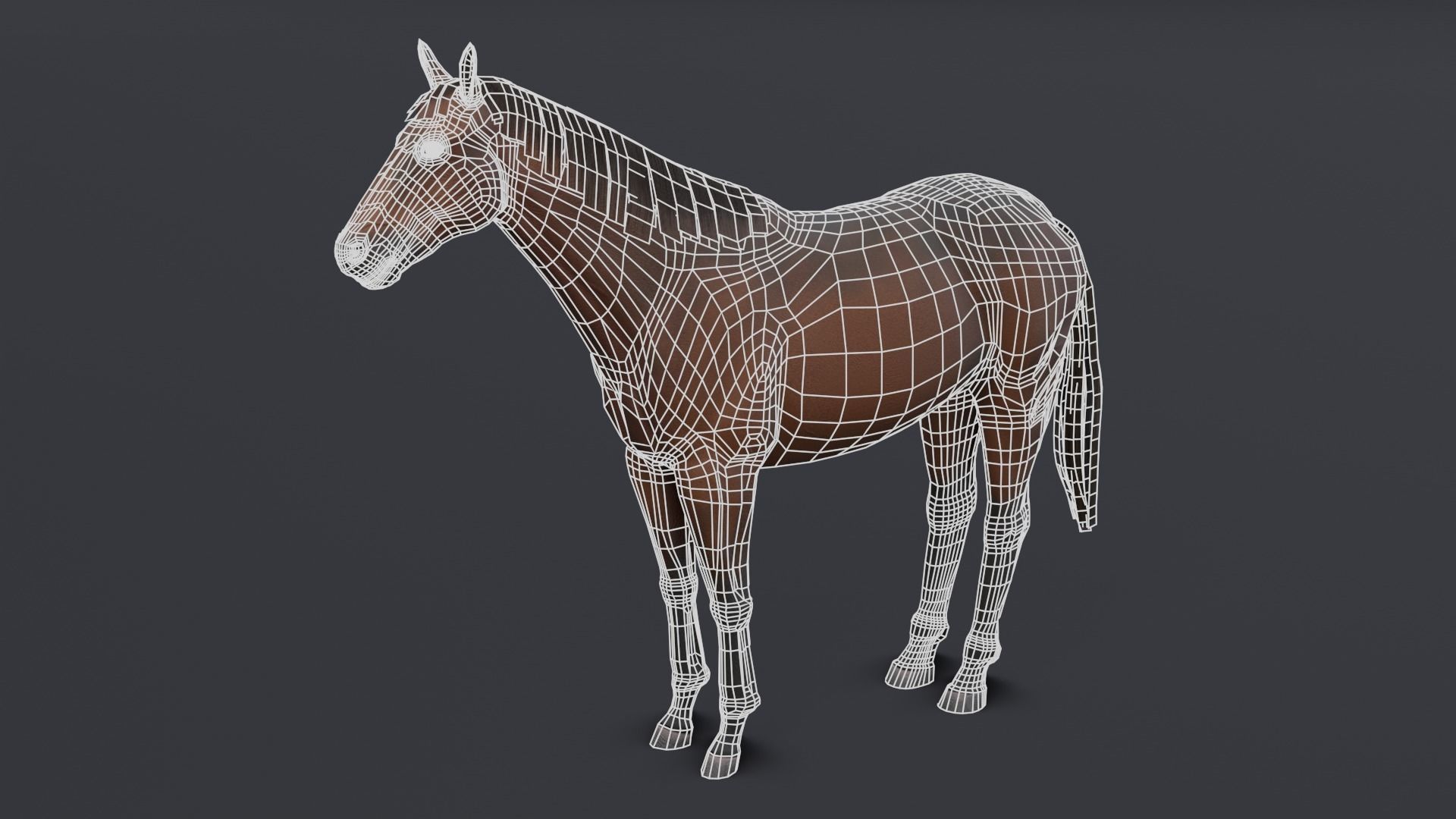 Horse Low-poly 3D model_3