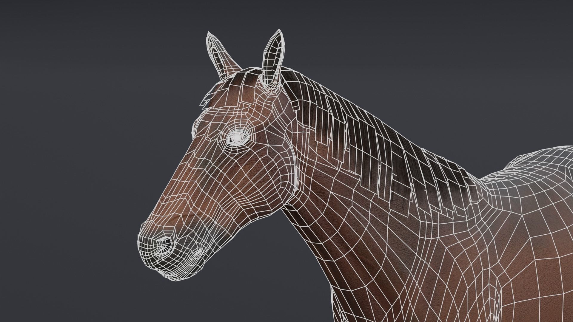 Horse Low-poly 3D model_5