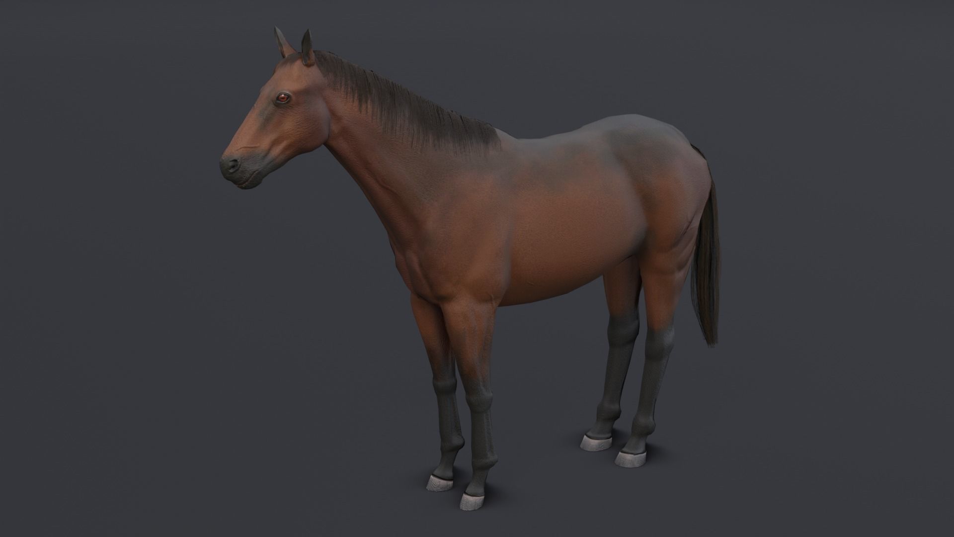Horse Low-poly 3D model_2