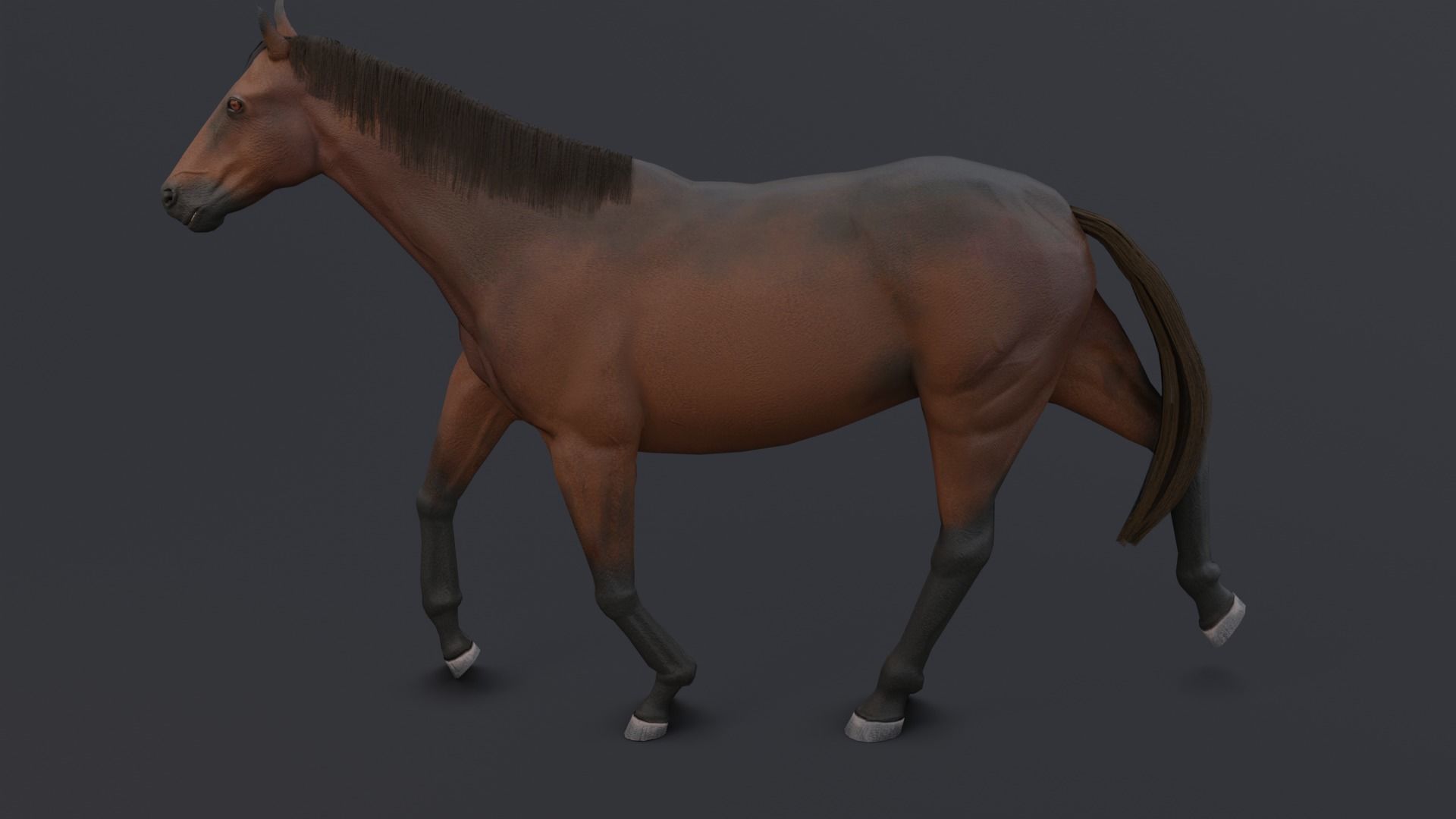Horse Low-poly 3D model_14