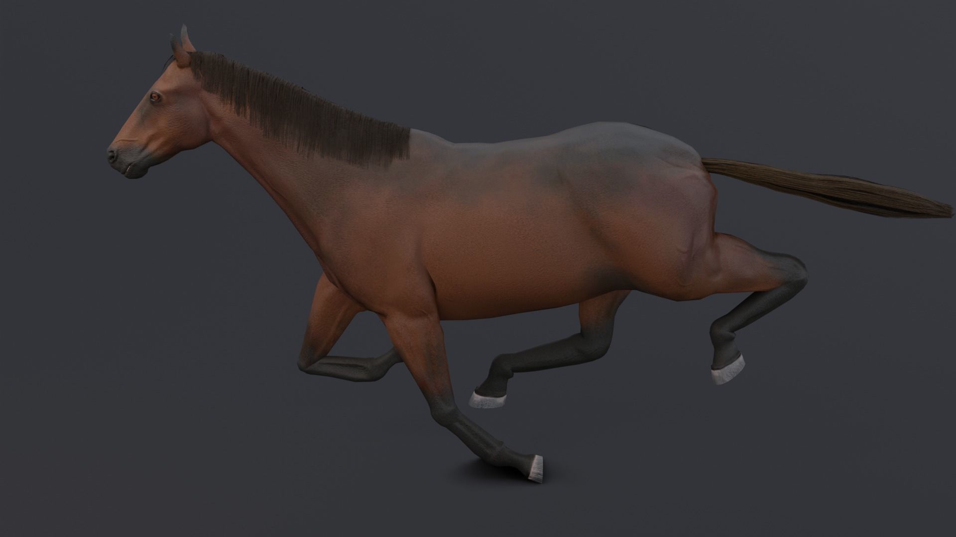 Horse Low-poly 3D model_13