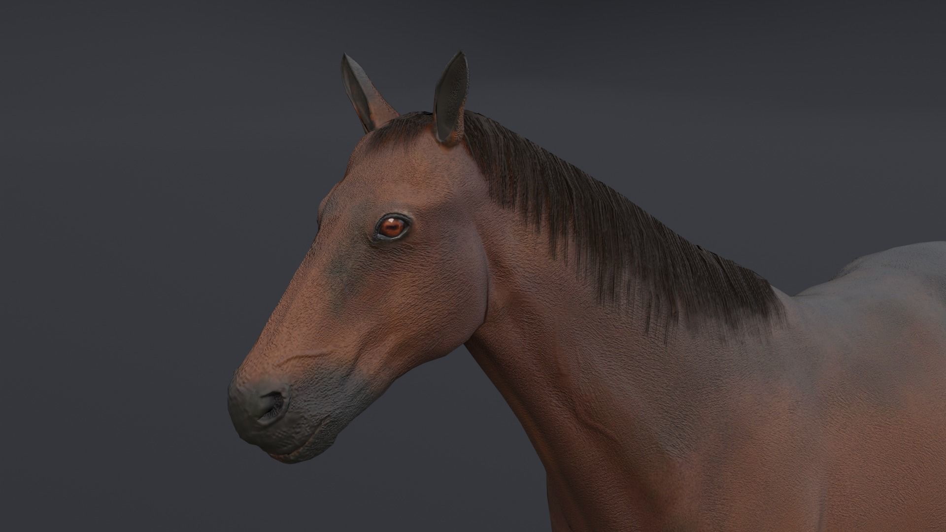 Horse Low-poly 3D model_4