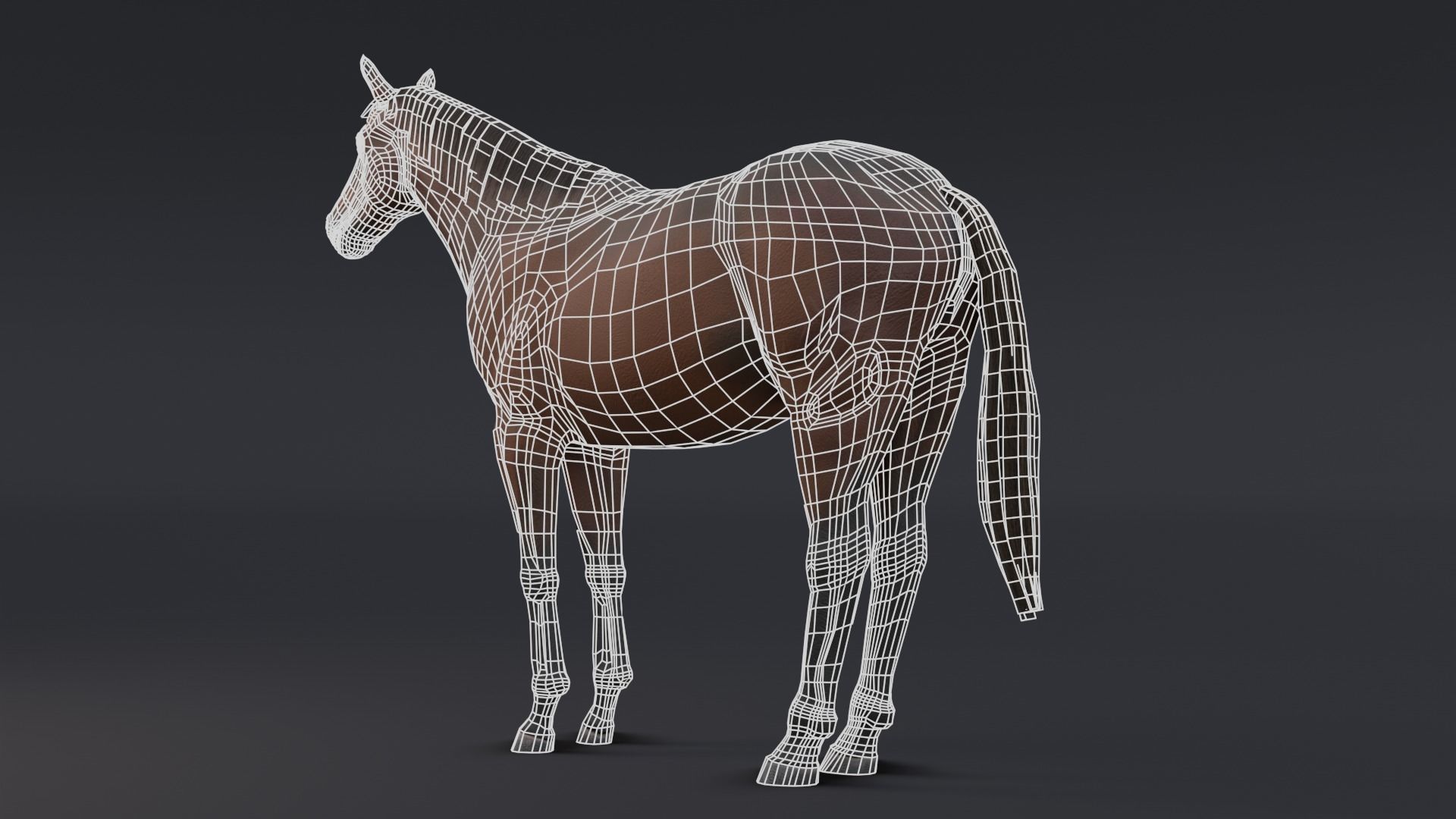 Horse Low-poly 3D model_7