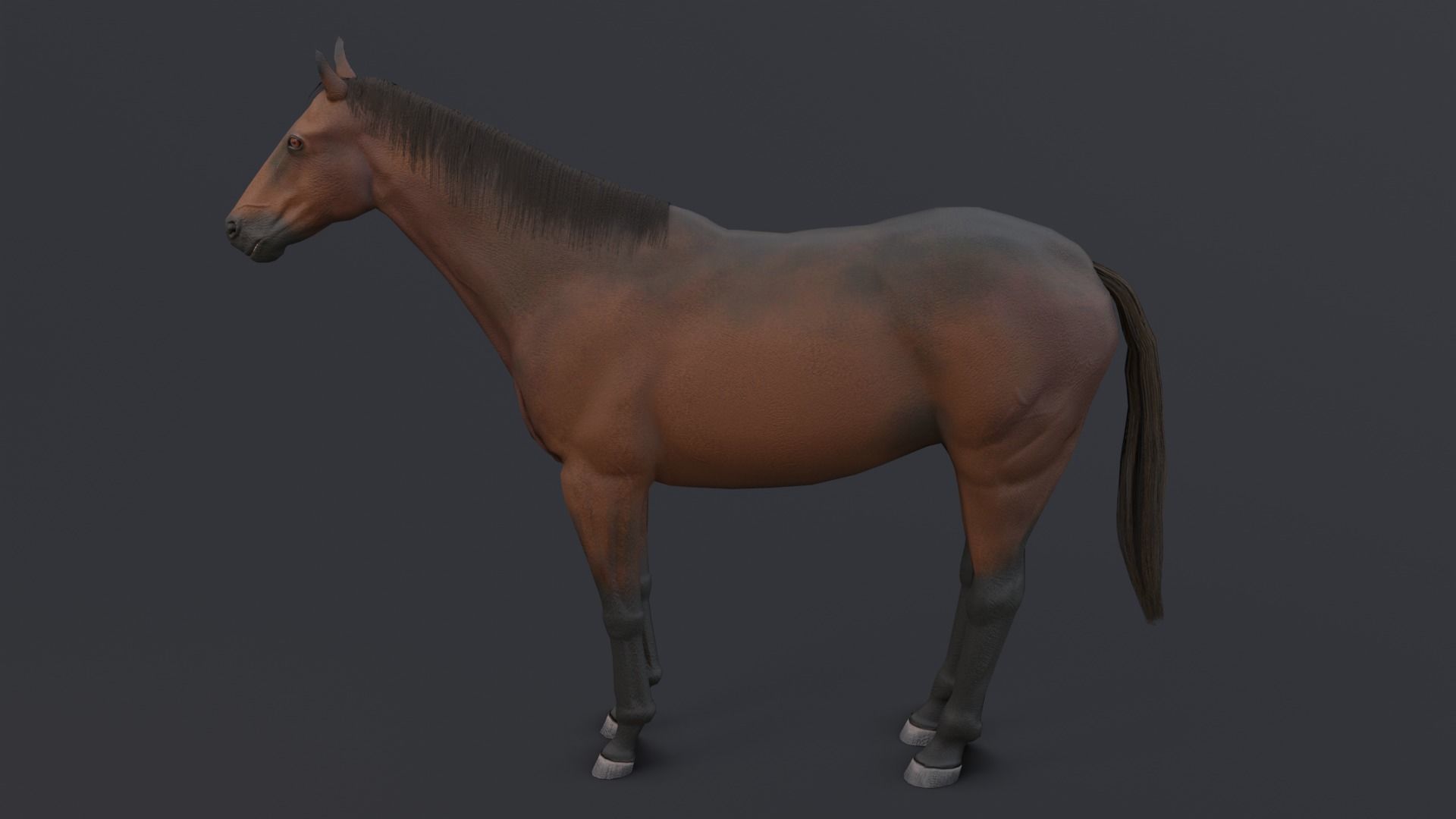 Horse Low-poly 3D model_11