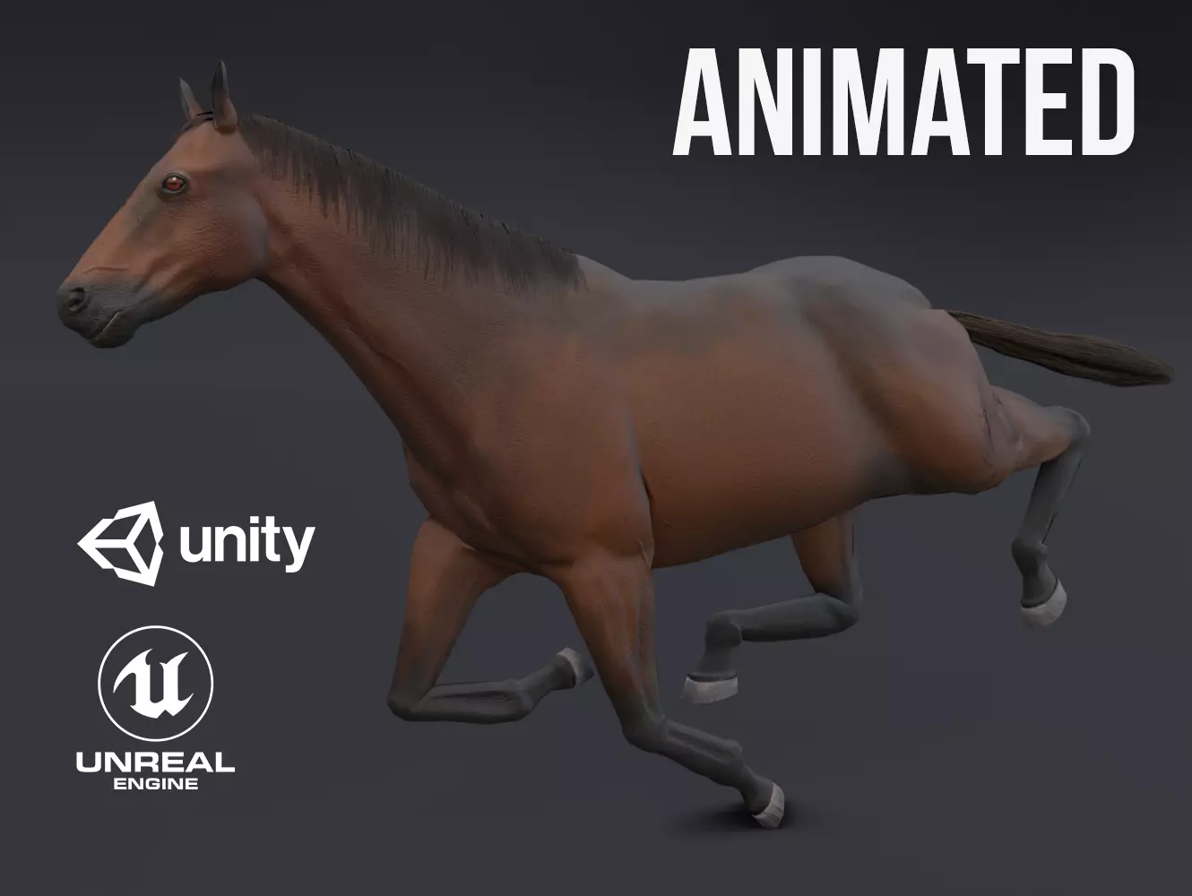 Horse Low-poly 3D model_0