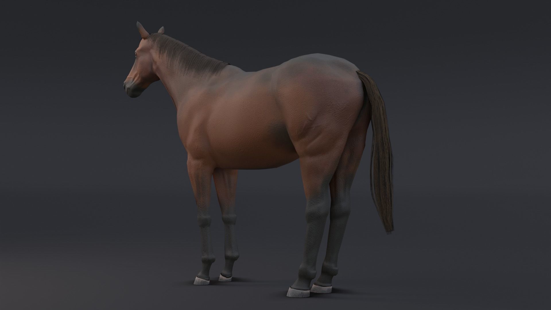 Horse Low-poly 3D model_6