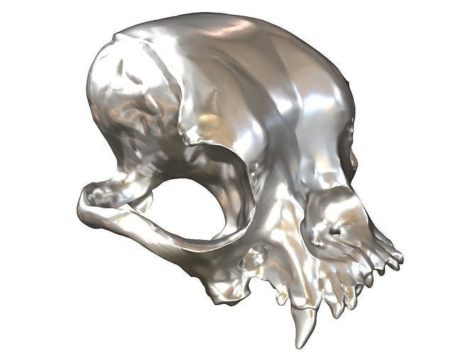 Cranium Charm Bulldog Low-poly 3D print model
