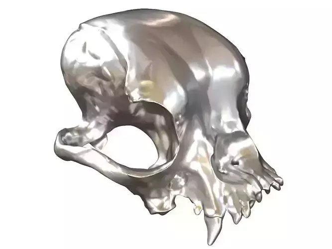 Cranium Charm Bulldog