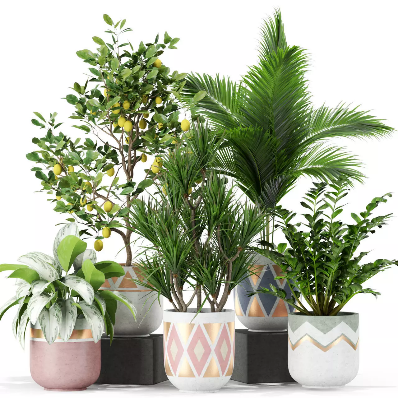 Plants collection 442 3D model