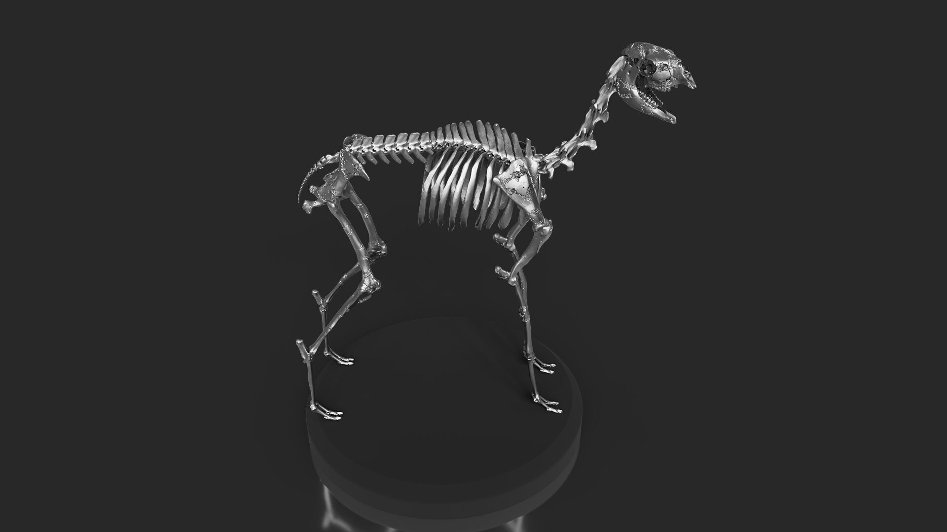 Silver Llama Skeleton 3D model_1