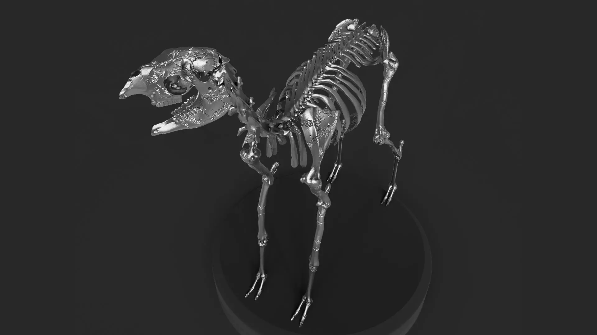 Silver Llama Skeleton 3D model_0