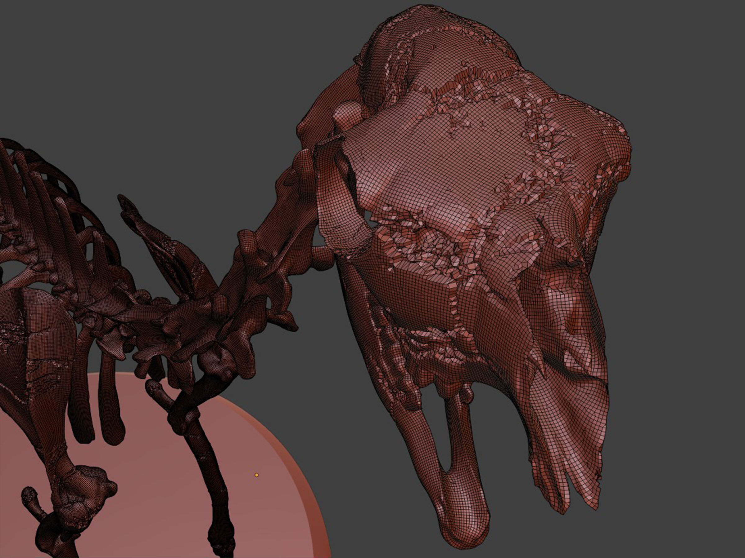 Silver Llama Skeleton 3D model_7