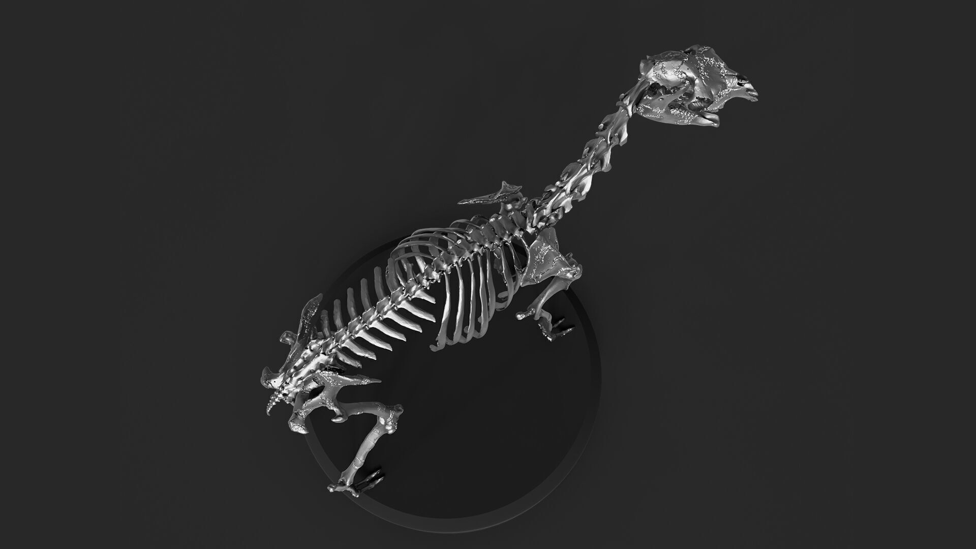 Silver Llama Skeleton 3D model_3