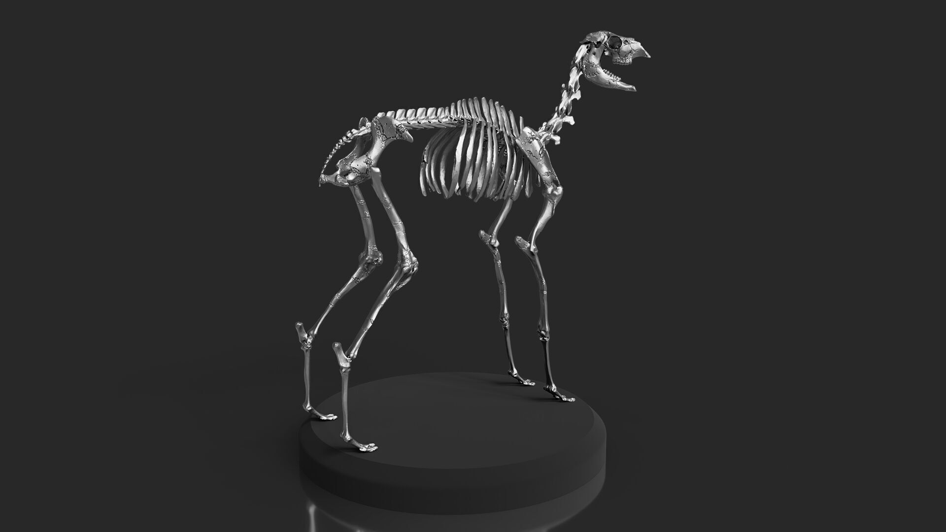 Silver Llama Skeleton 3D model_2