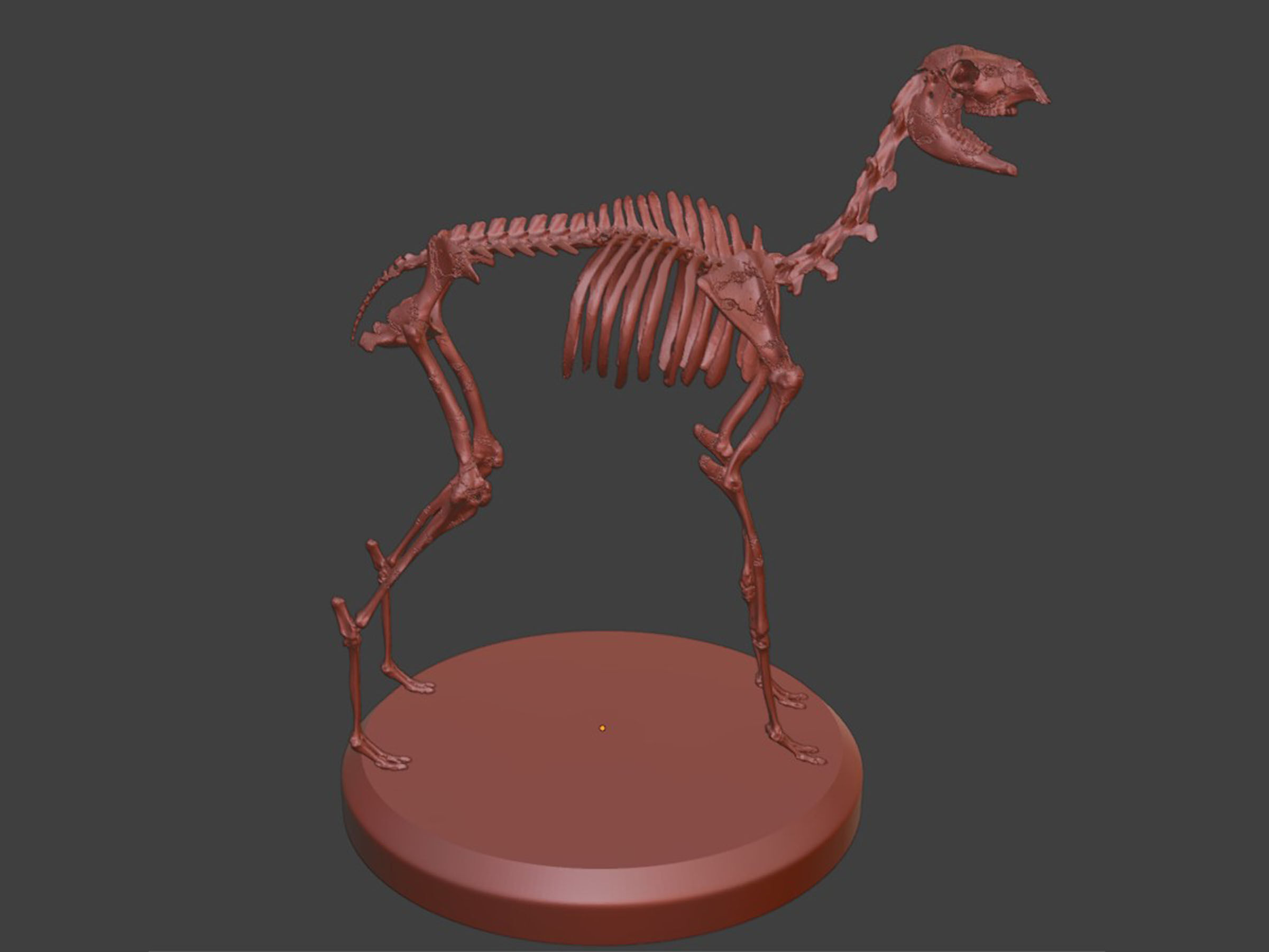 Silver Llama Skeleton 3D model_6