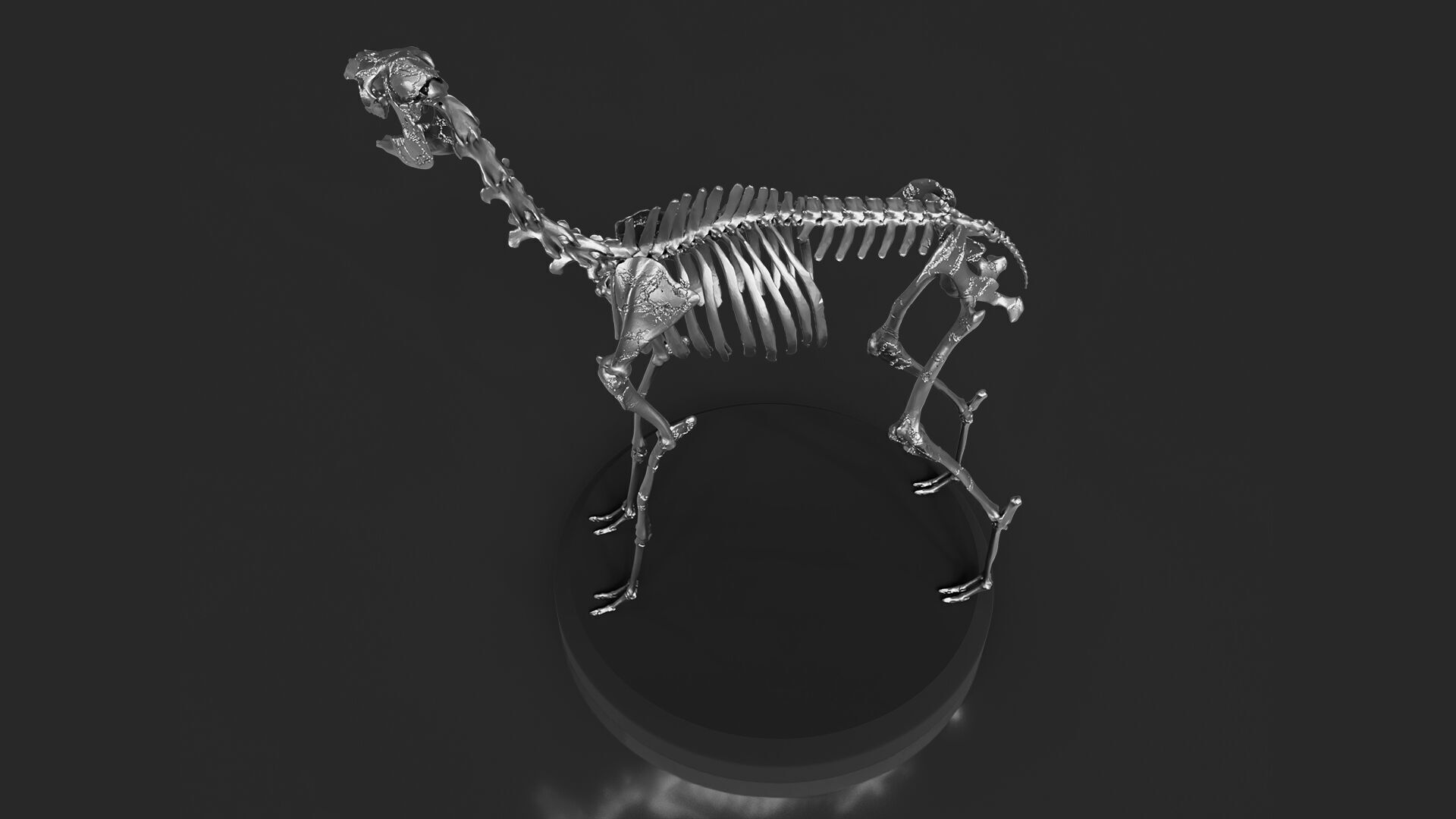 Silver Llama Skeleton 3D model_4