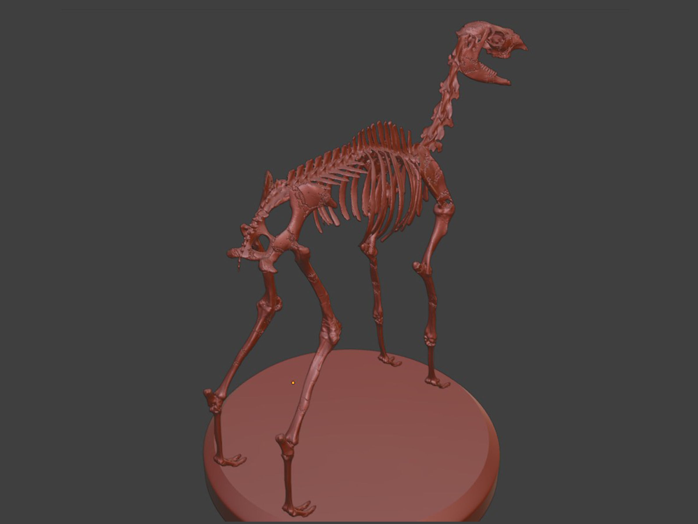 Silver Llama Skeleton 3D model_8