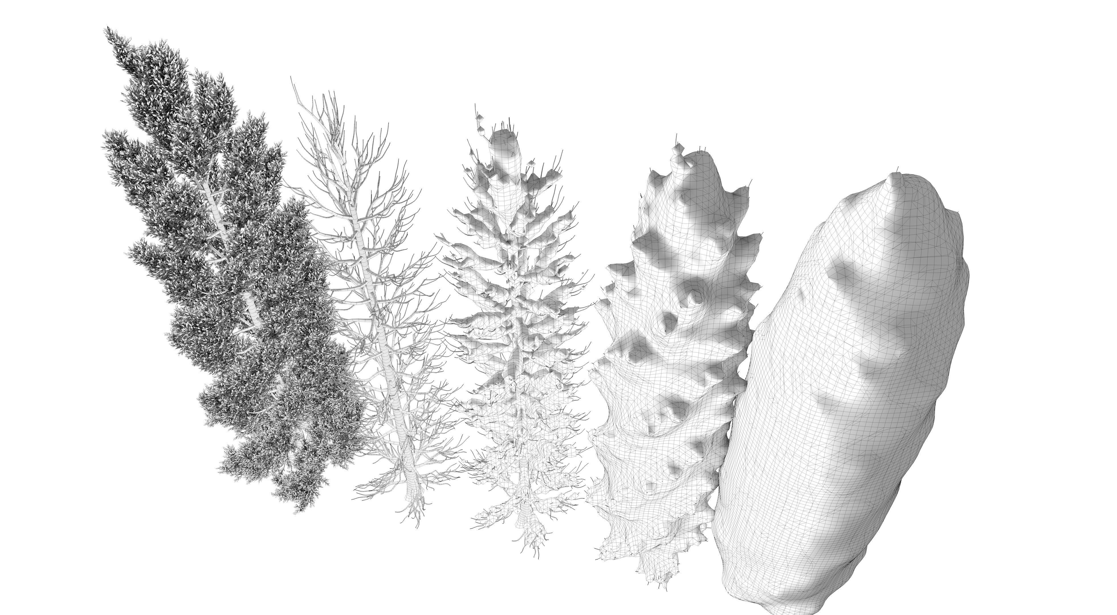  Tuscan Cypress Season Tree Collection 3D model_24