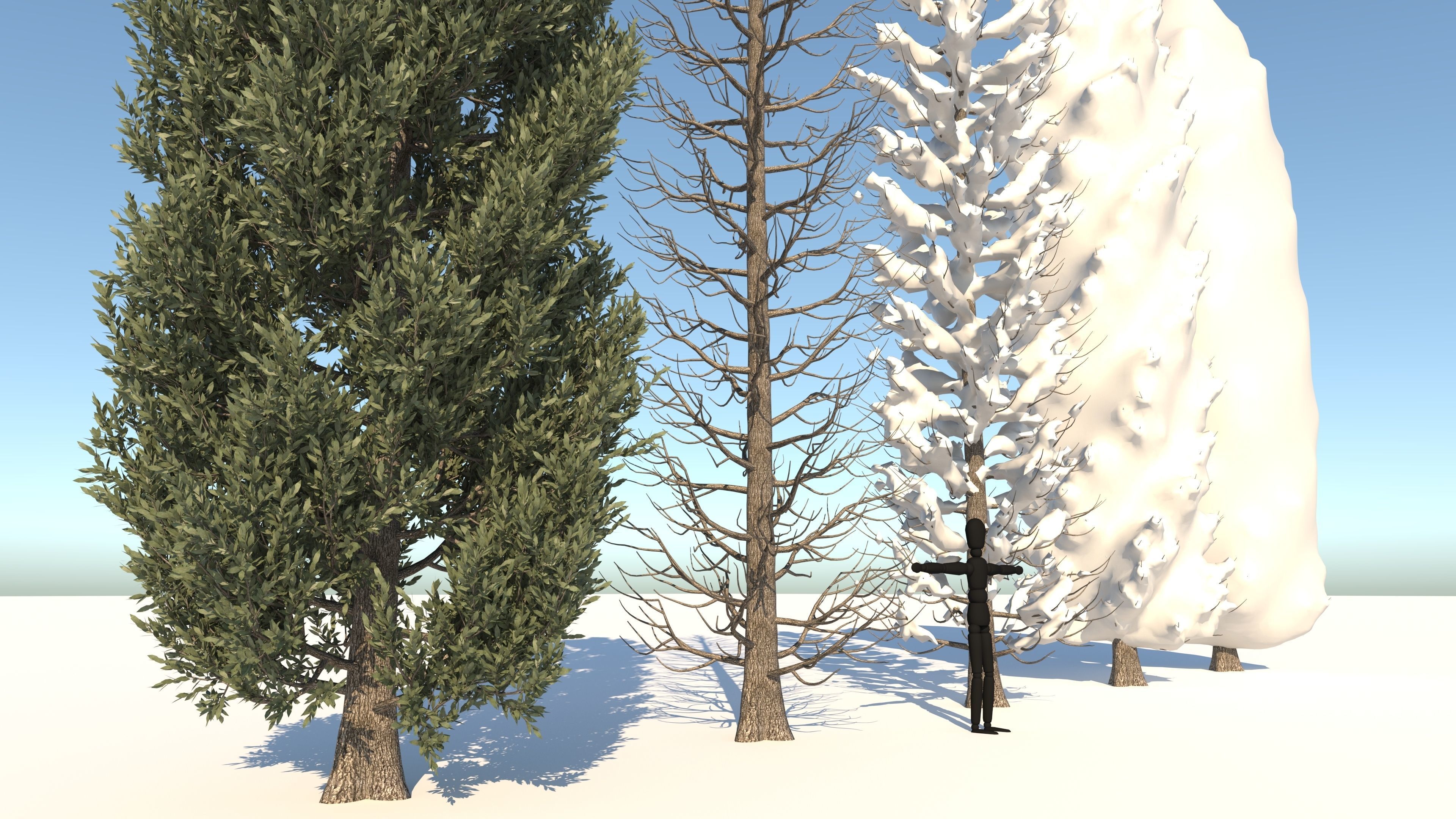  Tuscan Cypress Season Tree Collection 3D model_4