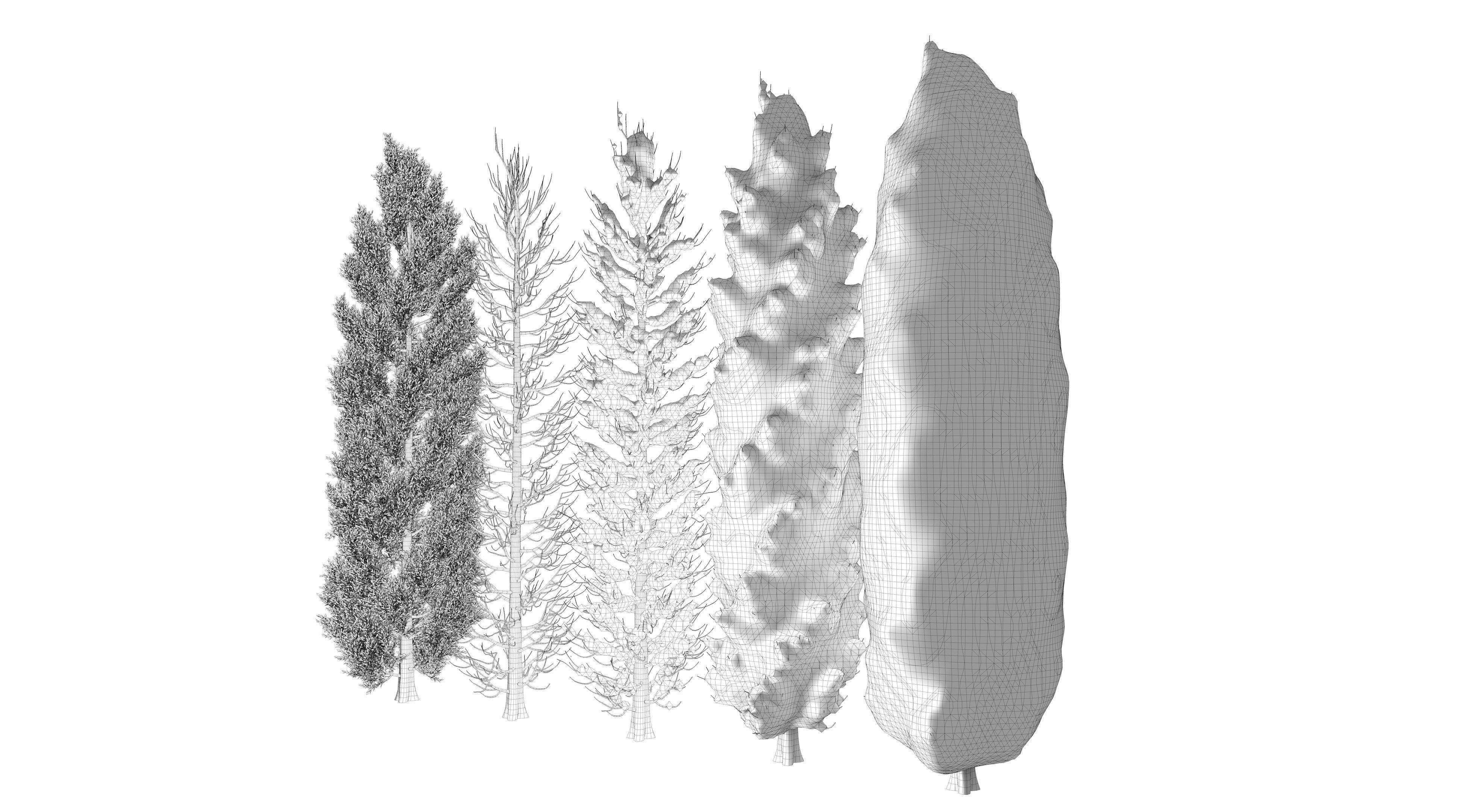  Tuscan Cypress Season Tree Collection 3D model_14