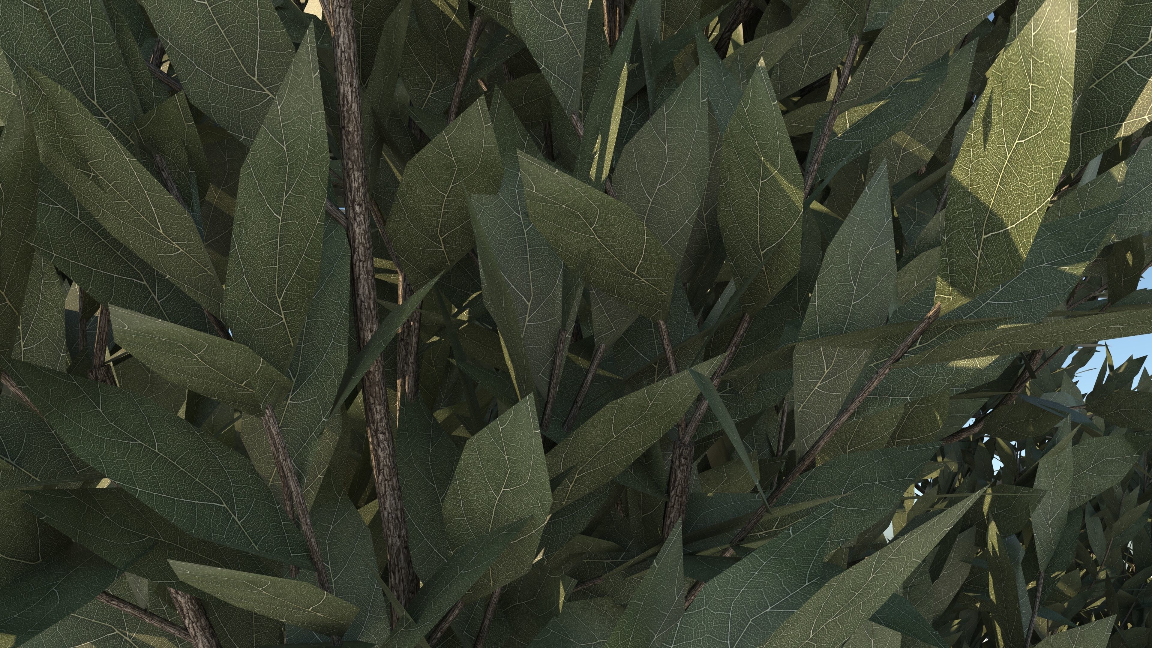  Tuscan Cypress Season Tree Collection 3D model_11