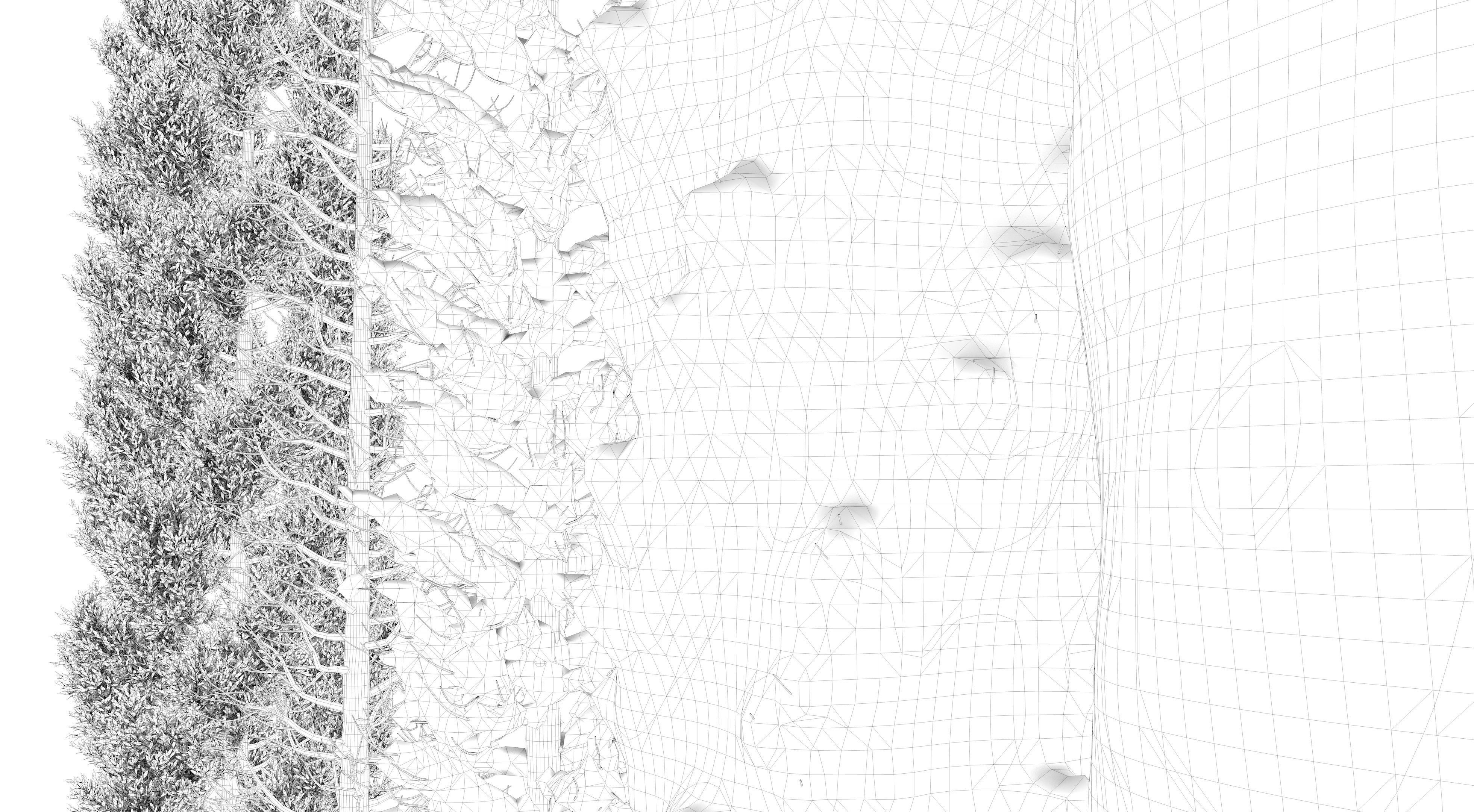  Tuscan Cypress Season Tree Collection 3D model_15