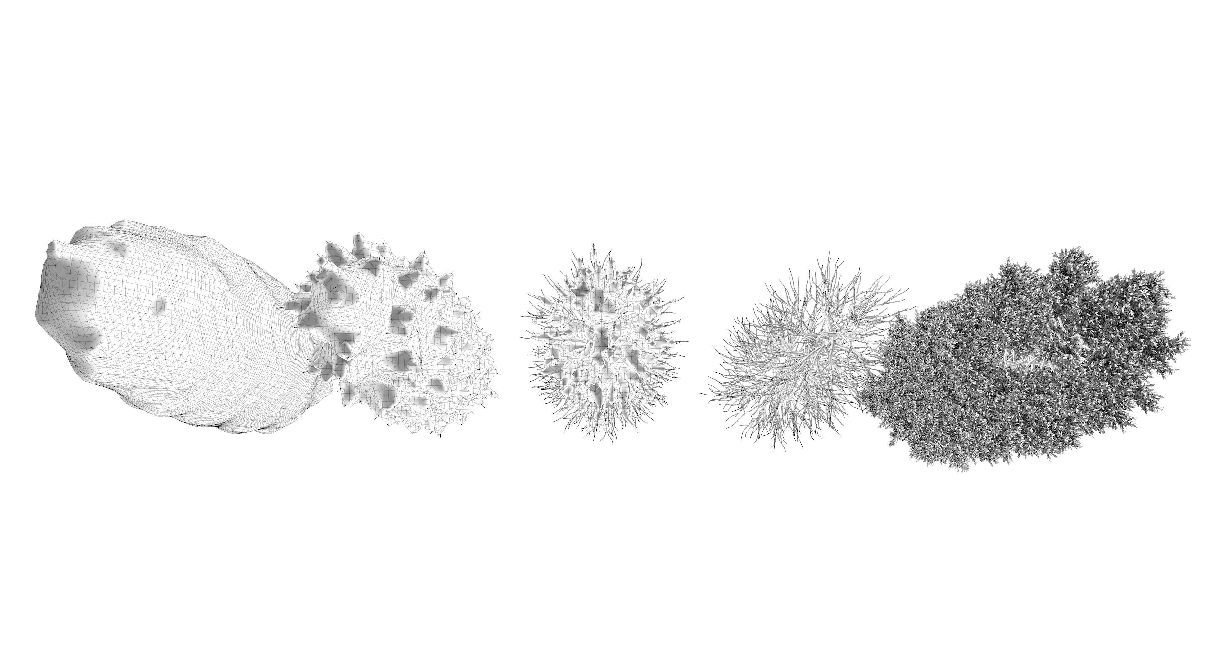  Tuscan Cypress Season Tree Collection 3D model_23