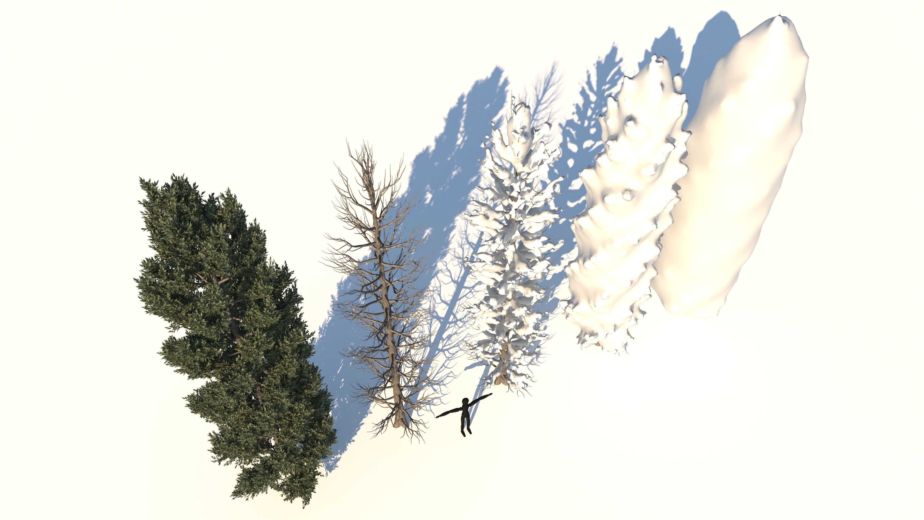  Tuscan Cypress Season Tree Collection 3D model_3