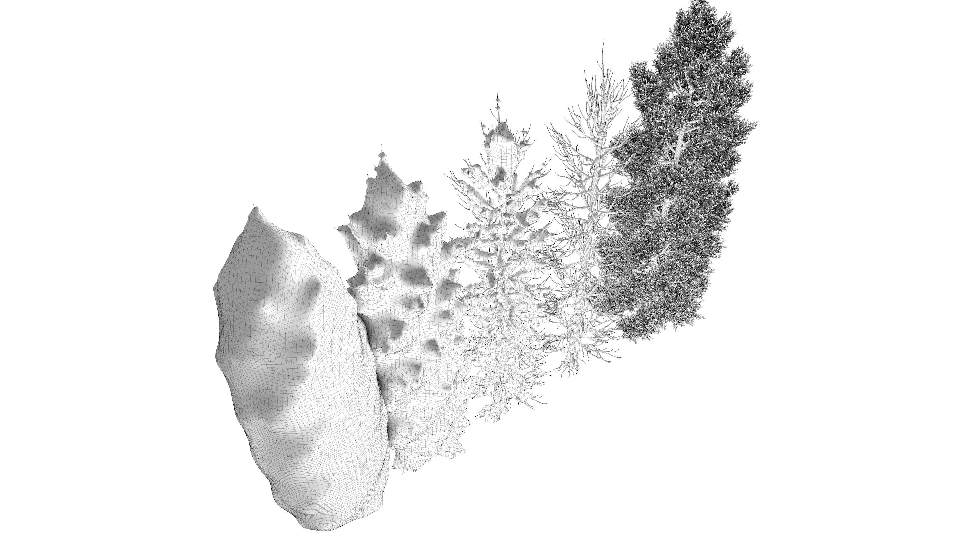  Tuscan Cypress Season Tree Collection 3D model_19