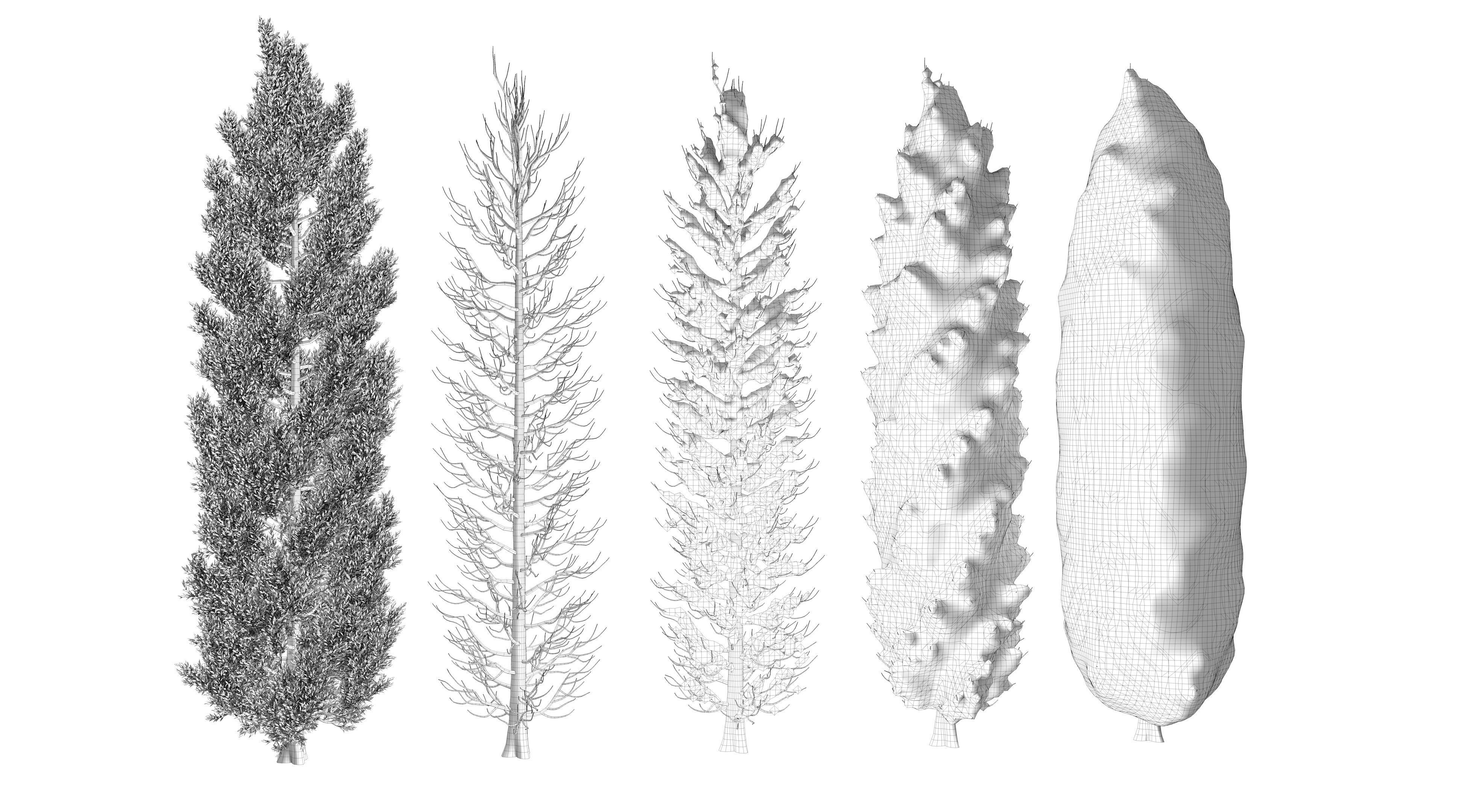  Tuscan Cypress Season Tree Collection 3D model_16