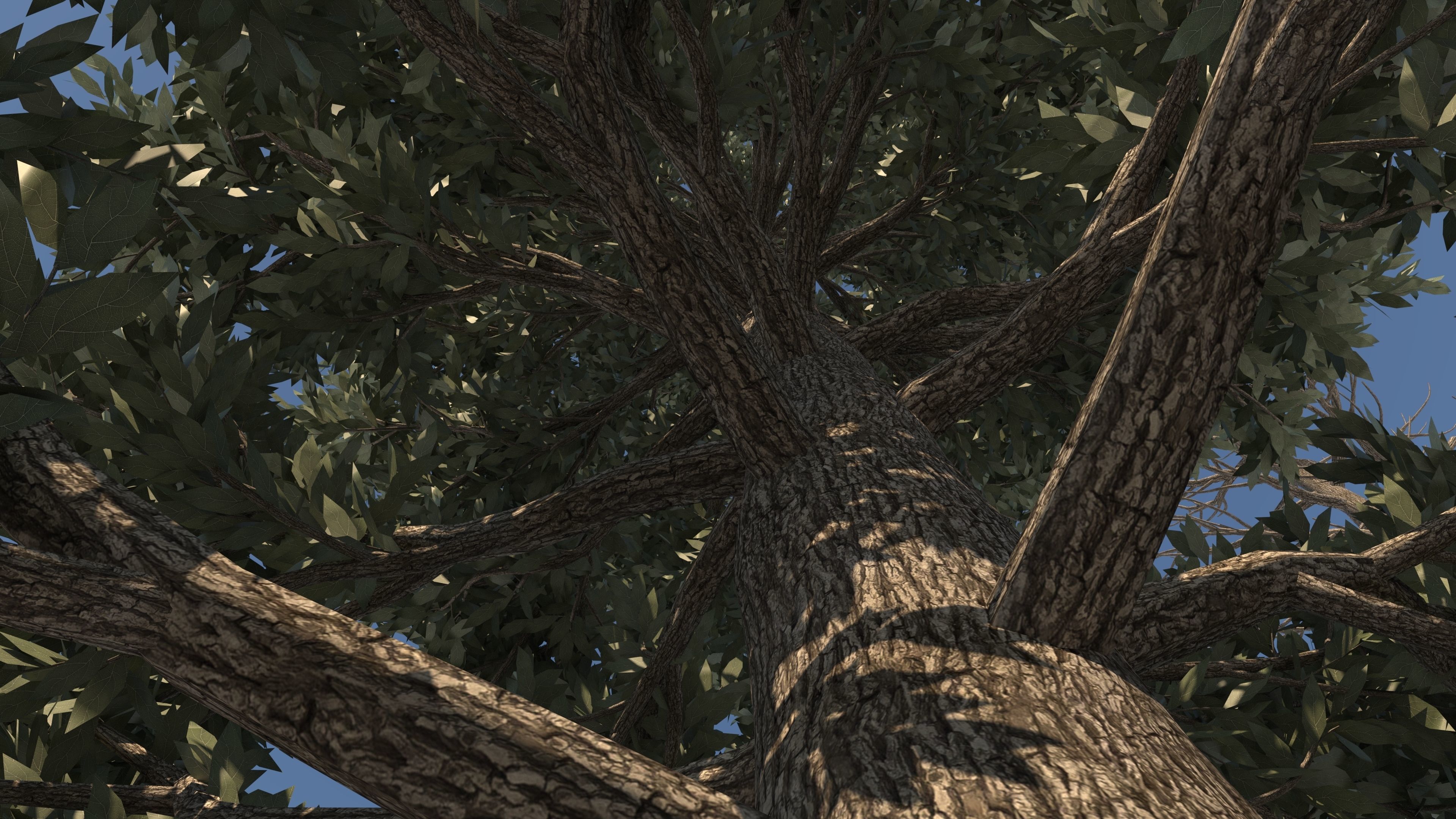  Tuscan Cypress Season Tree Collection 3D model_9