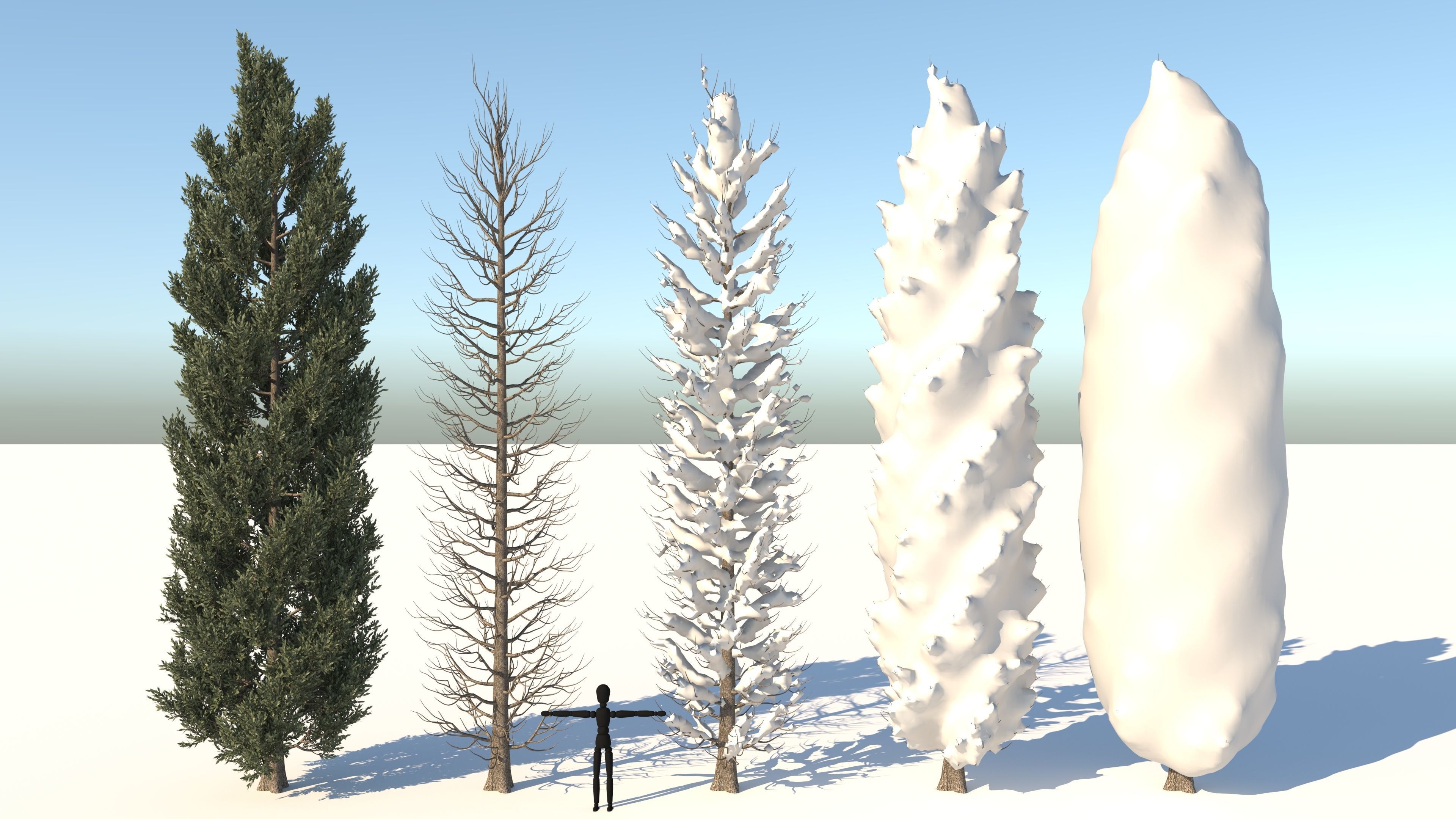  Tuscan Cypress Season Tree Collection 3D model_1